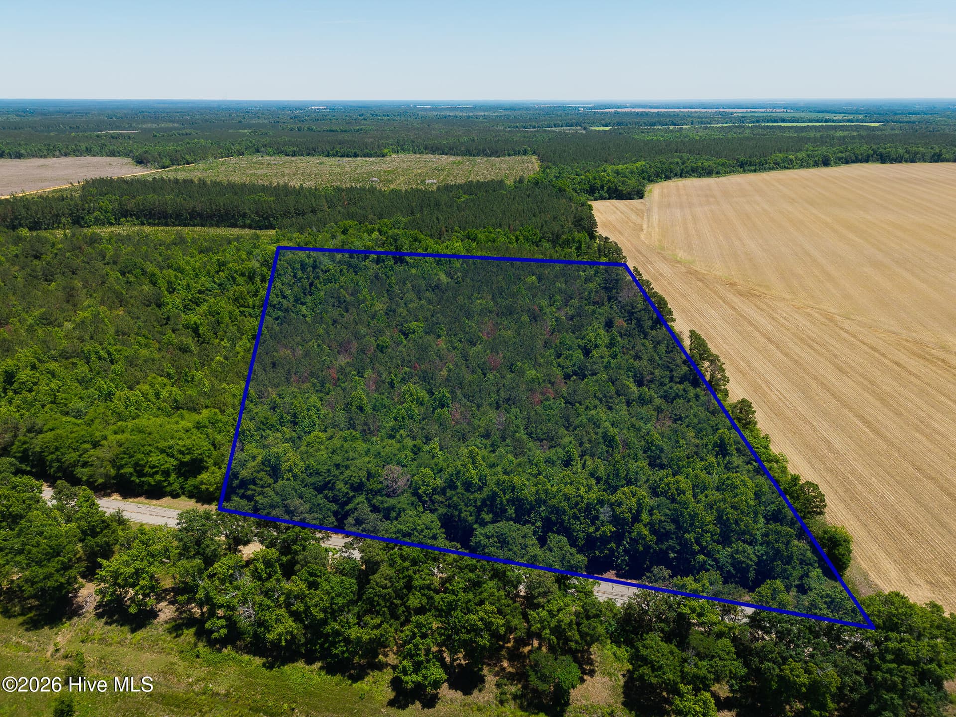 Undeveloped at 18.5 Acres Georgia 305 Highway, Midville, GA 30441, photo 5 of 7
