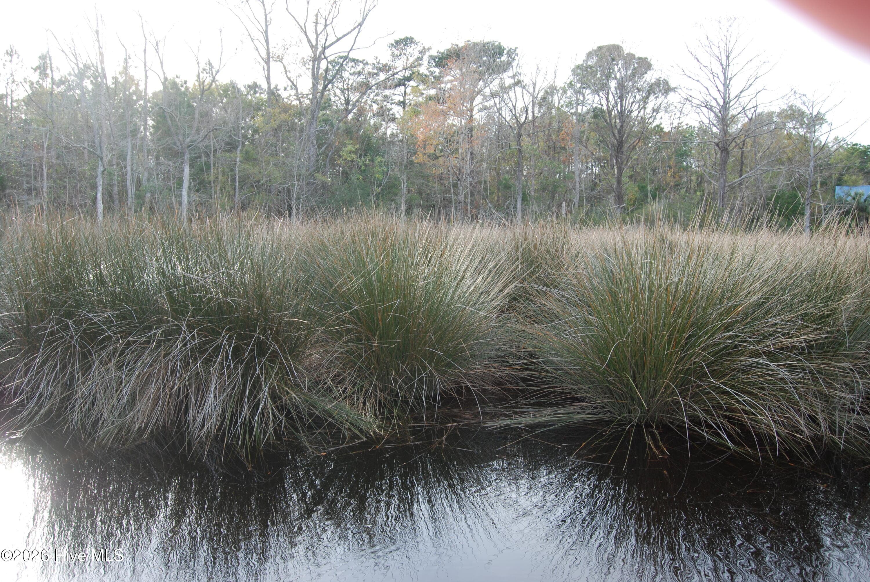 Residential Lot at 255 Wards Lane, Havelock, NC 28532, photo 6 of 8