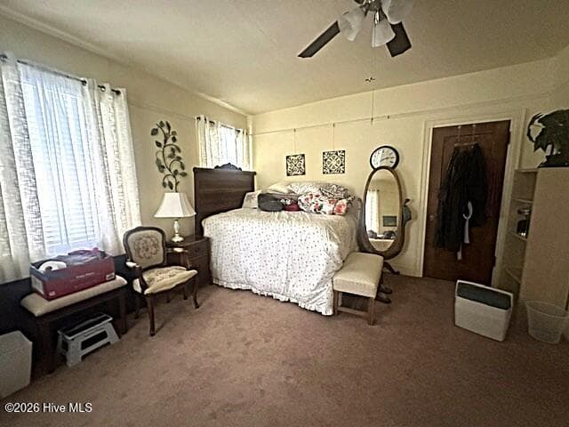 Single Family Residence at 217 Boush Street, Roper, NC 27970, photo 13 of 17