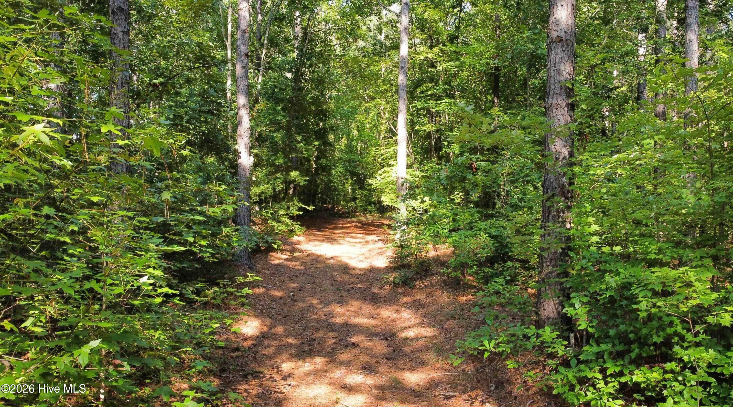 Residential Lot at 0 Richardson Road, Warrenton, NC 27589, photo 10 of 10