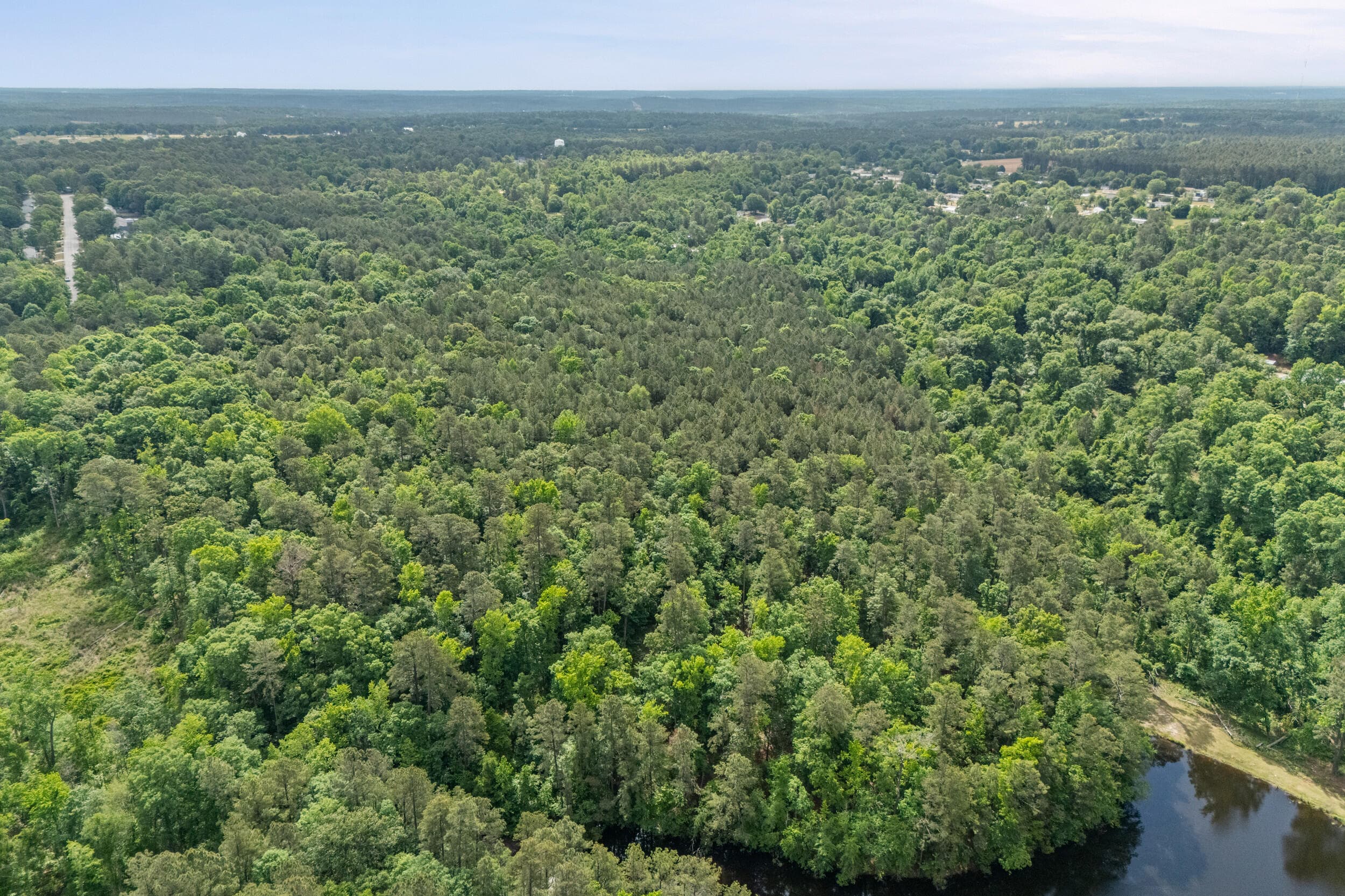 Agriculture at 0 Graystone Drive, Beech Island, SC 29842, photo 12 of 14