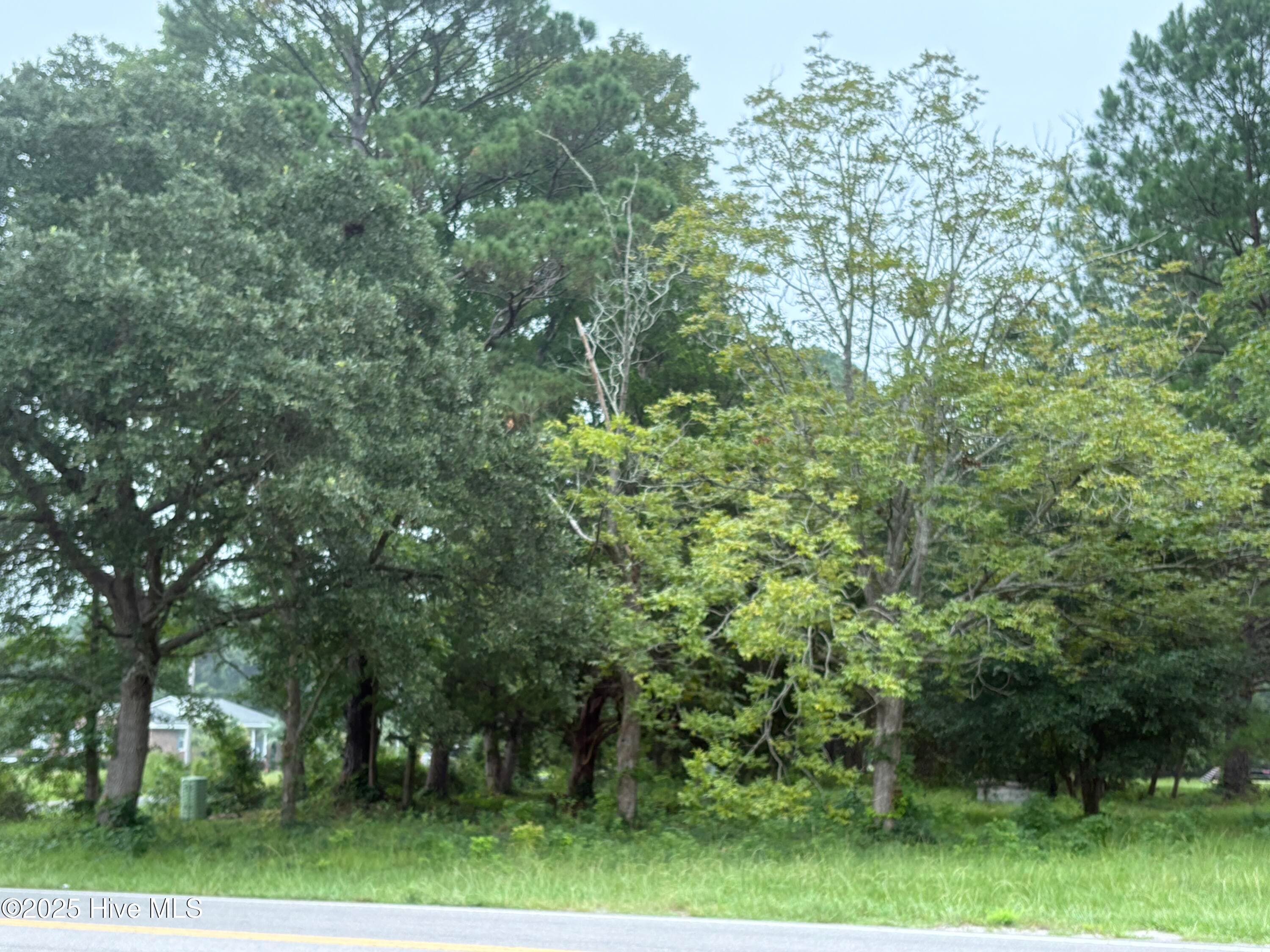 Mixed Use at 917 Bricklanding Road SW, Shallotte, NC 28470, photo 4 of 8
