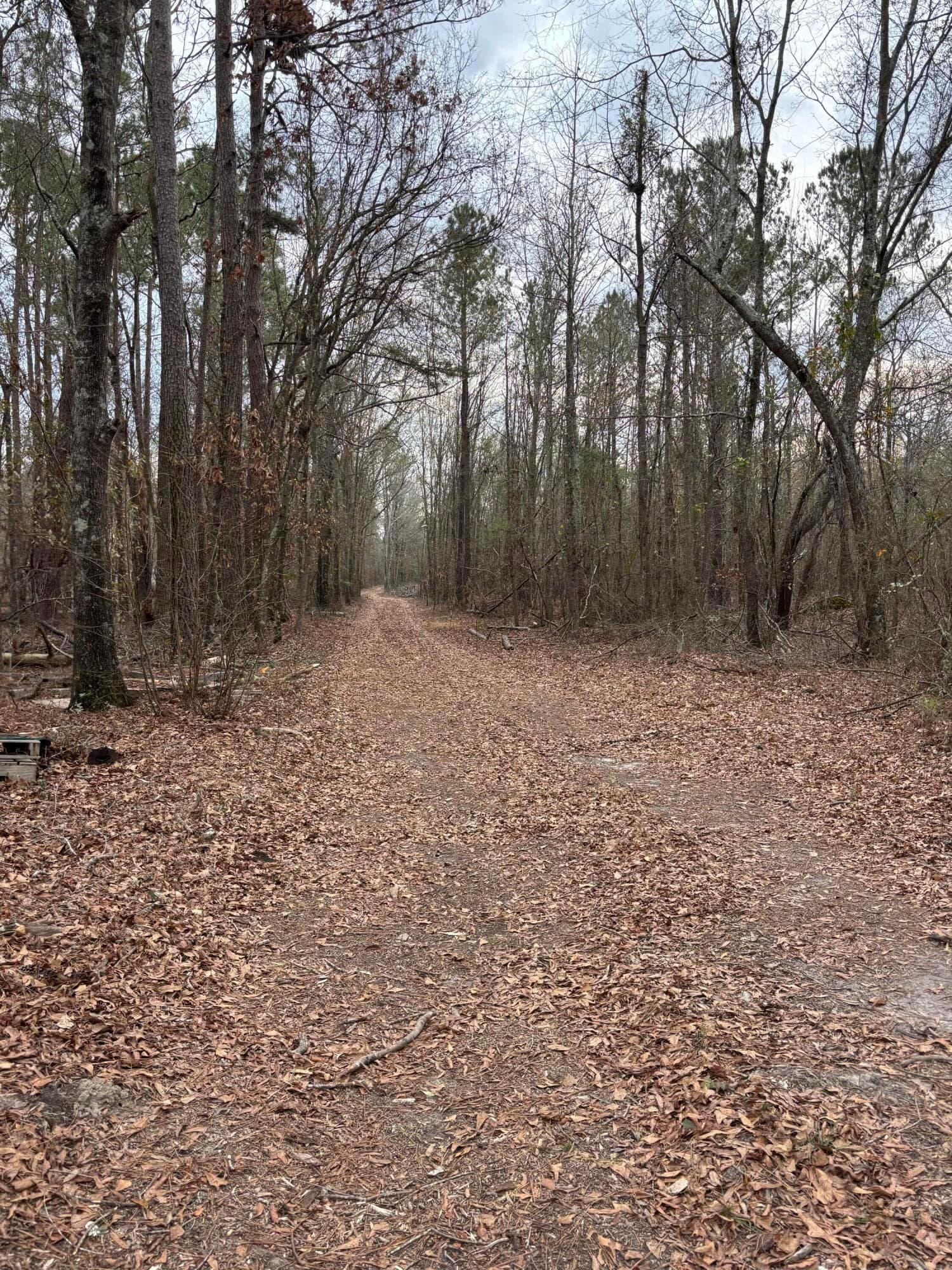 Undeveloped at 745 Wright Allen Road, Blythe, GA 30805, photo 3 of 18