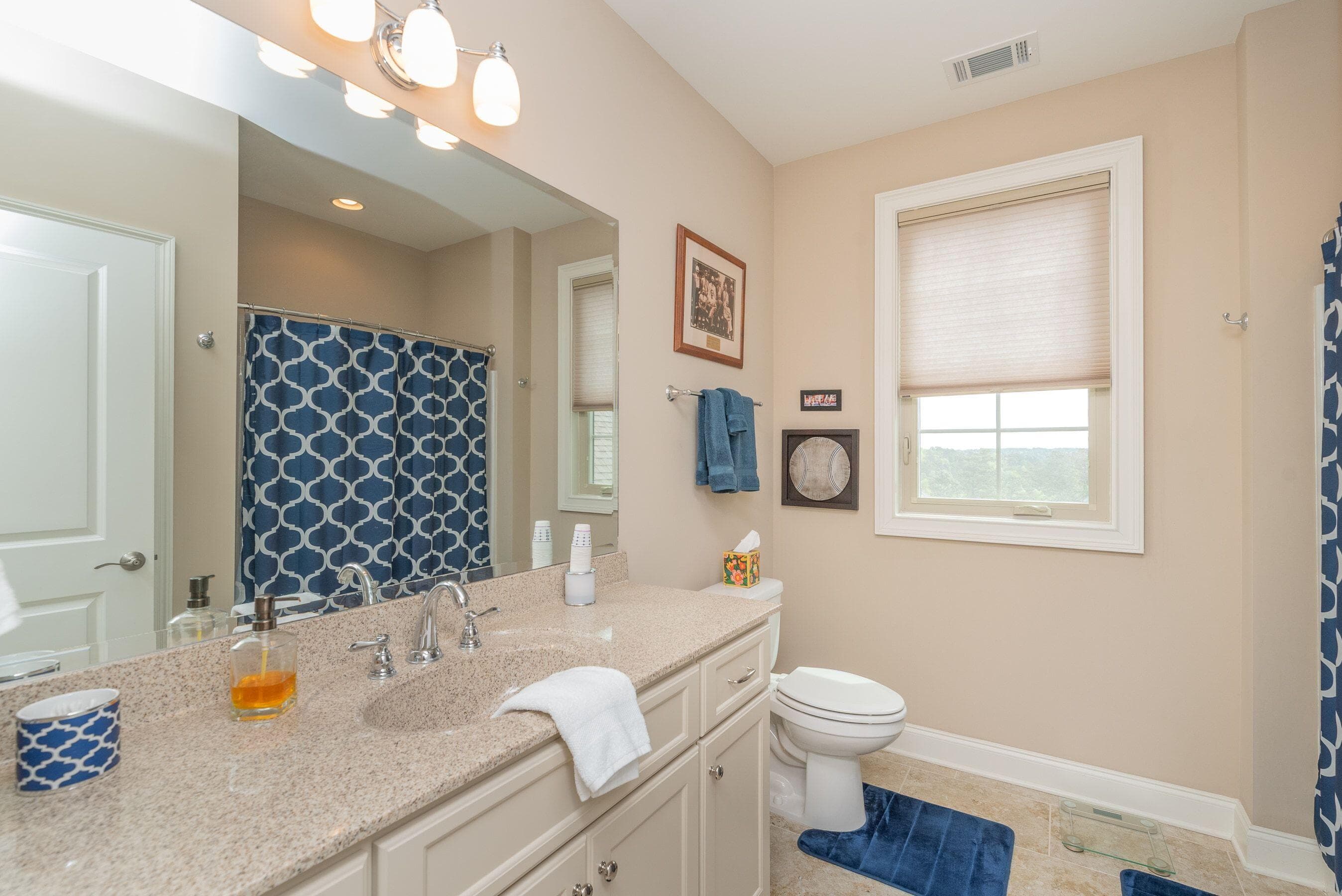 2nd Guest bath - 207 Quiet Oak Court, Aiken, SC 29803