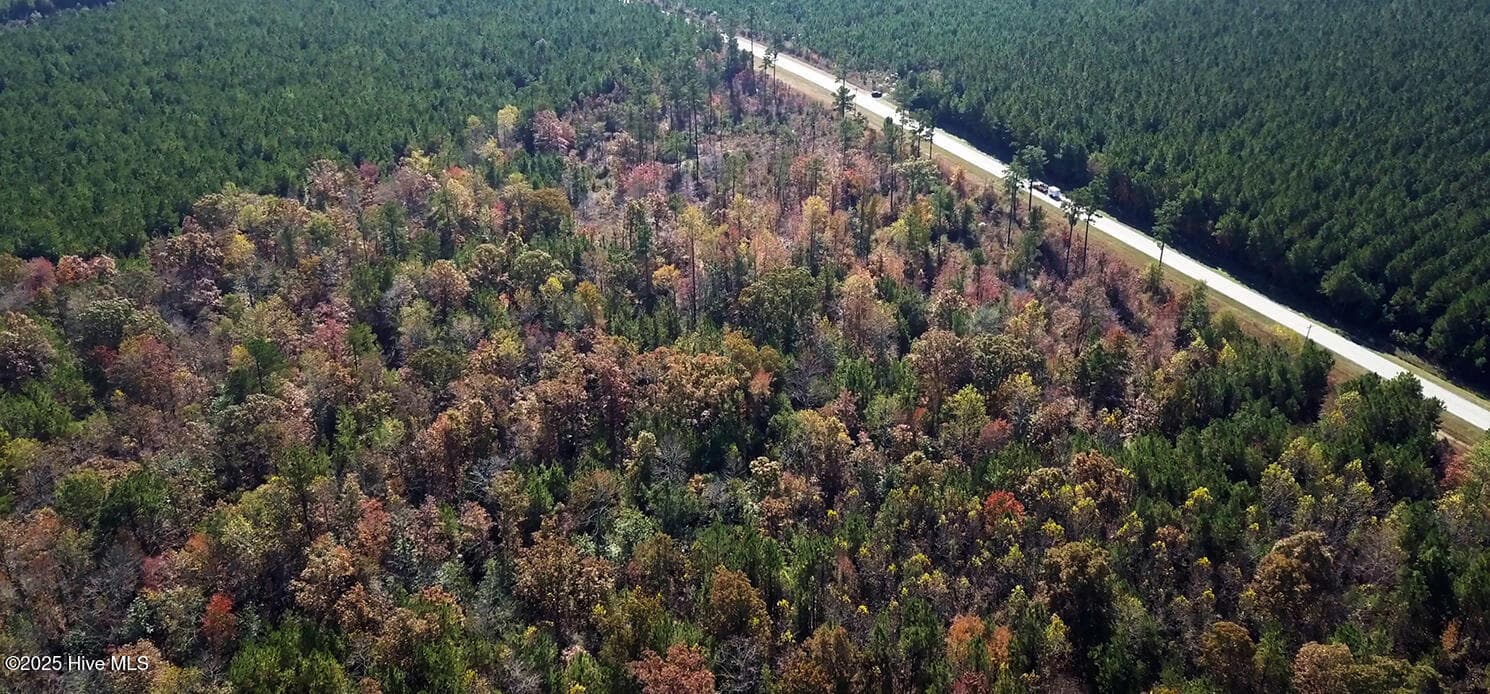 Tract I, Subject Property; Hardwoods in Autumn colors - Sr #1123 Lots #1 #3, #4, #5 State Rd 1123, Chocowinity, NC 27817