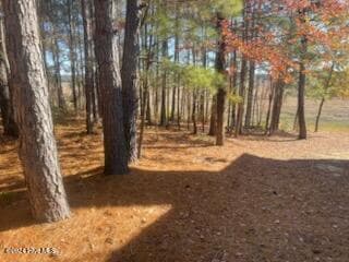Wooded at 847 4565 Seagull Drive, Vass, NC 28394, photo 3 of 7