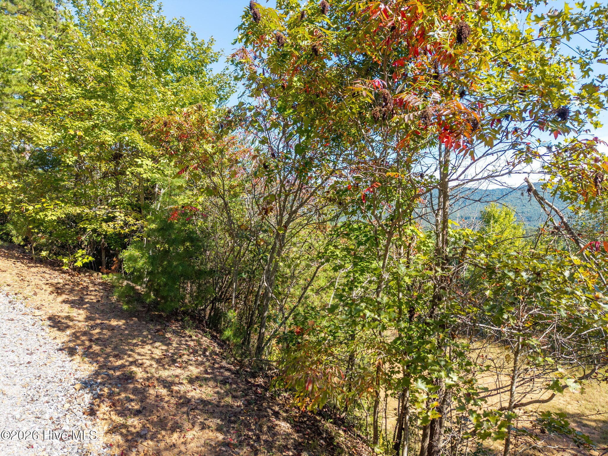 Residential Lot at 33 Sugarwood Drive, Murphy, NC 28906, photo 22 of 24