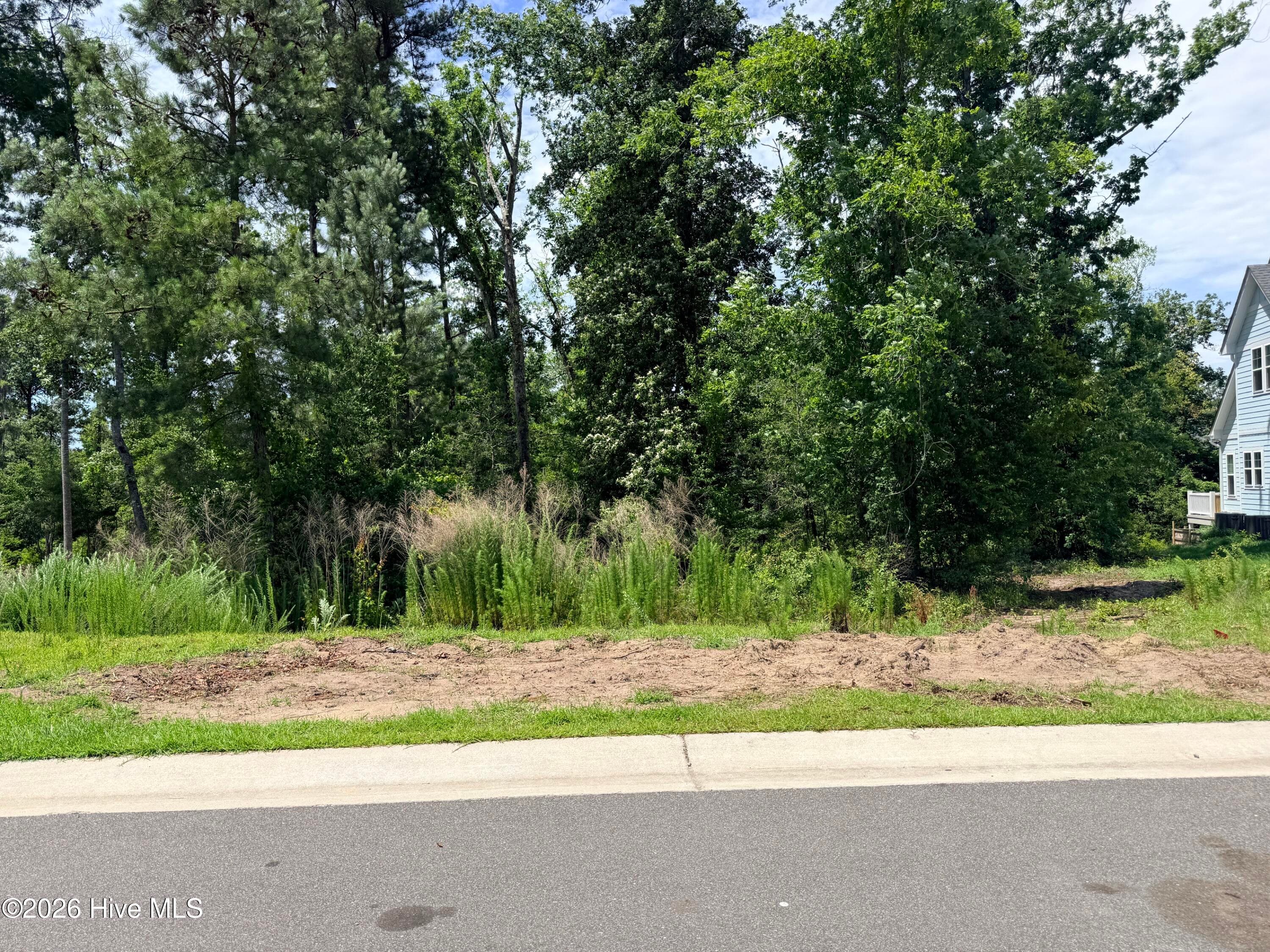 9011 420 River Glenn Loop NE, Leland, NC 28451
