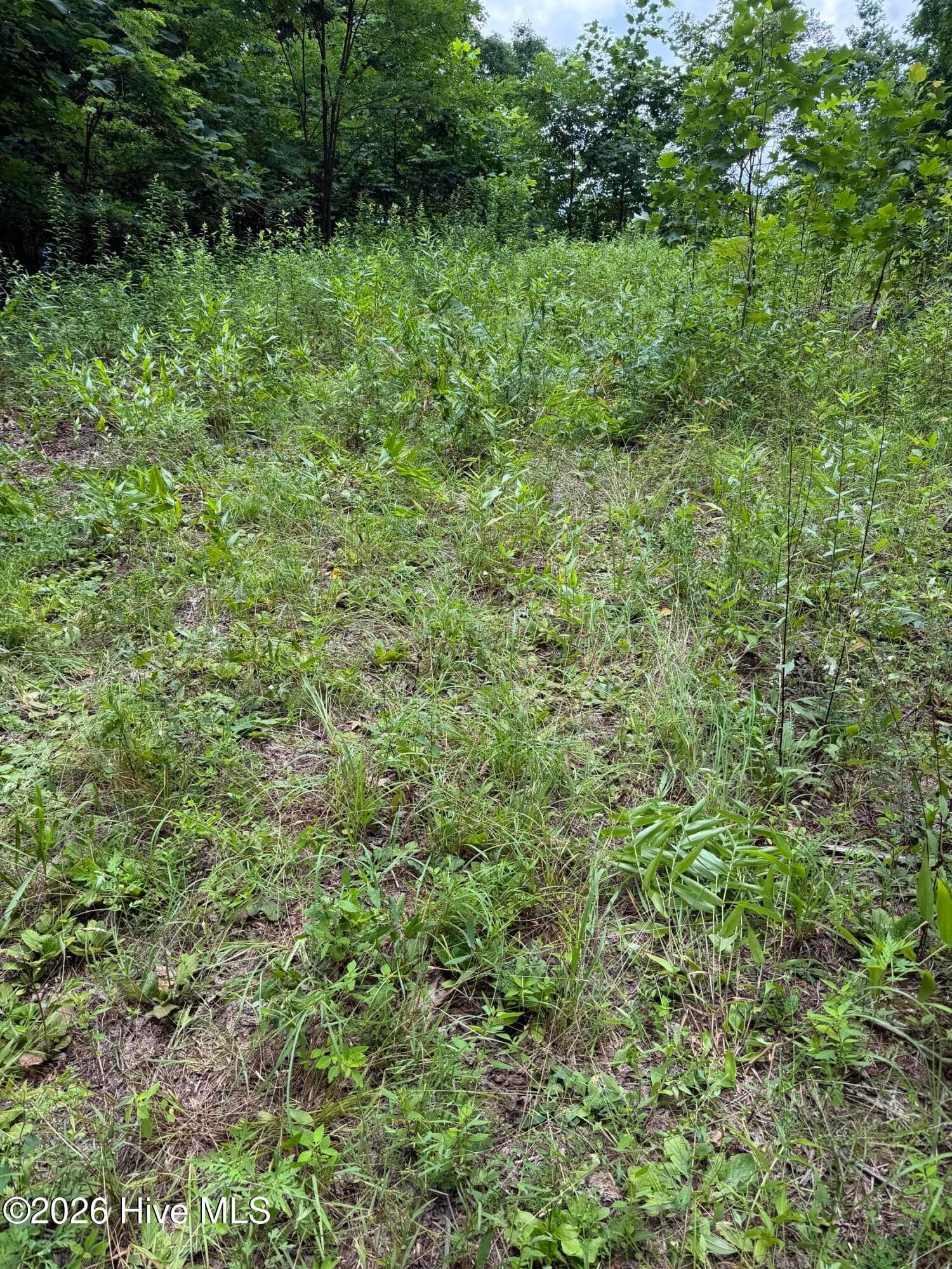 Wooded at Lot 2 Outlook Road, Murphy, NC 28906, photo 4 of 6