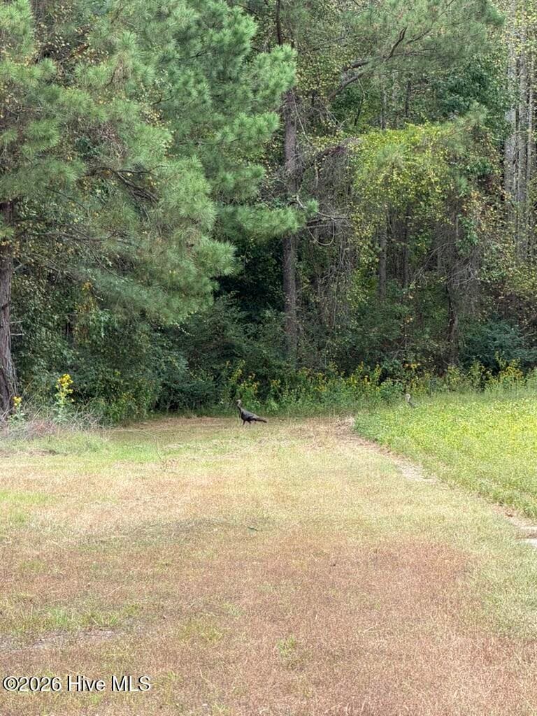Single Family Residence at 1708 Nc Highway 45, Cofield, NC 27922, photo 51 of 86
