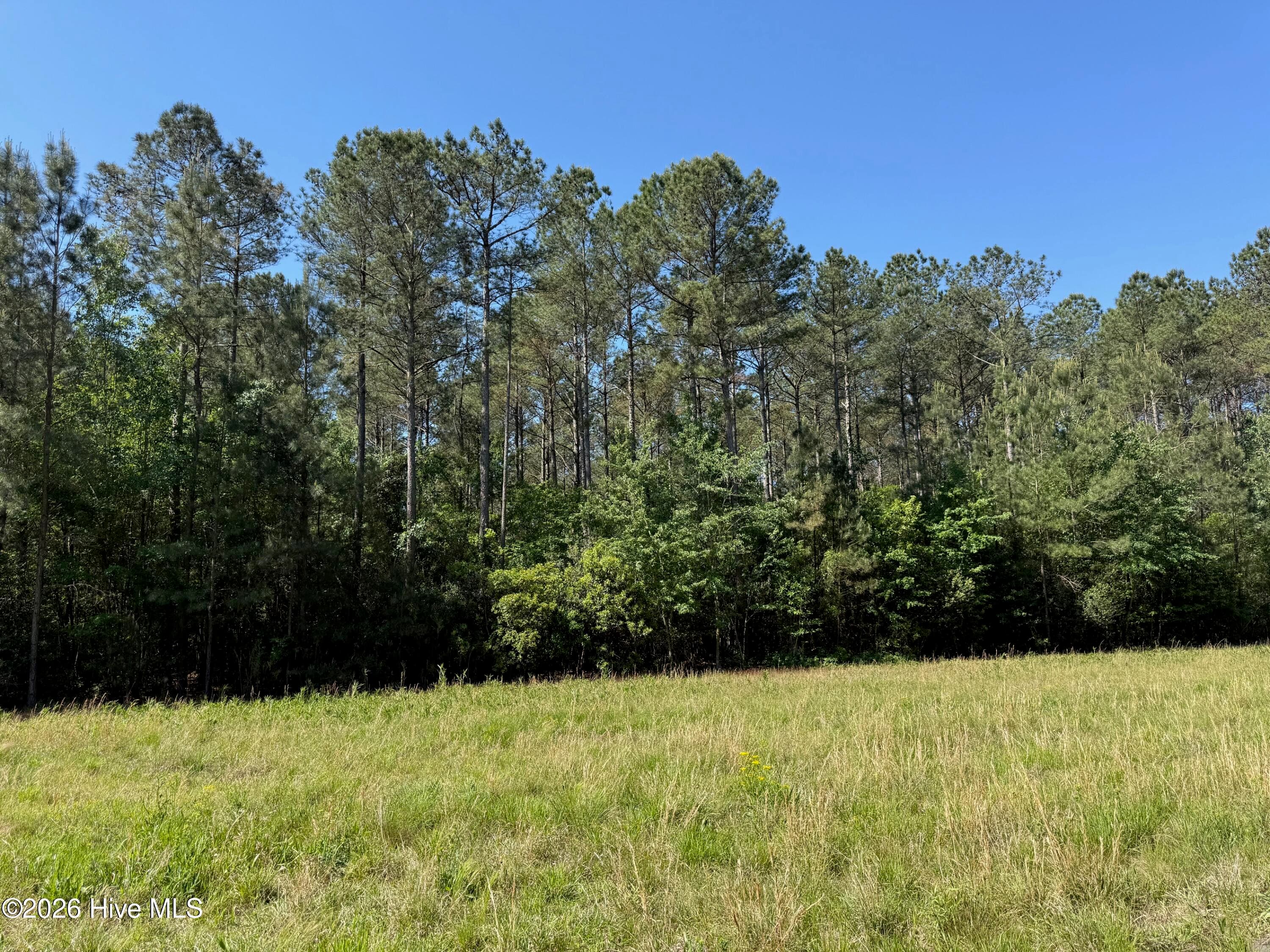 Wooded at 20.51 Acre Sweat Drive, Bladenboro, NC 28320, photo 5 of 16