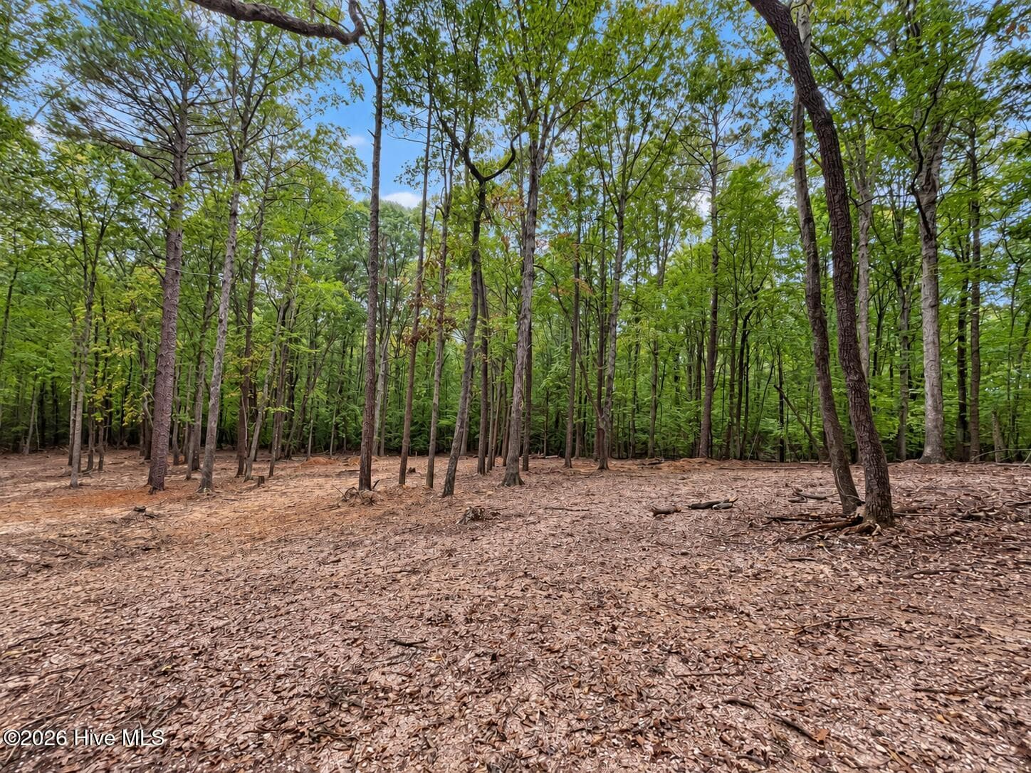 Residential Lot at 150 Morgan Circle, Carthage, NC 28327, photo 5 of 20