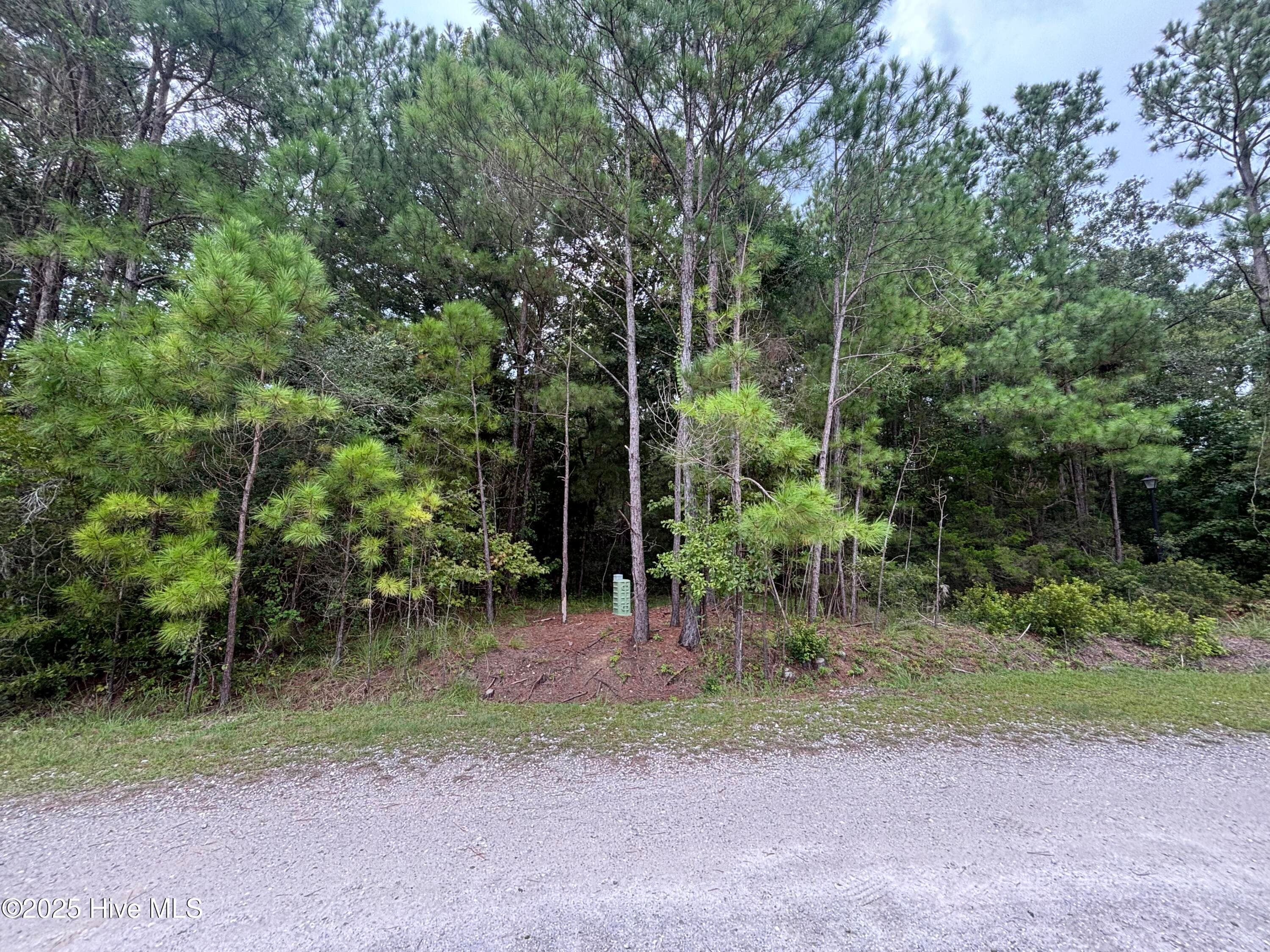 Residential Lot at 4110 Arabian Way SW, Shallotte, NC 28470, photo 4 of 11