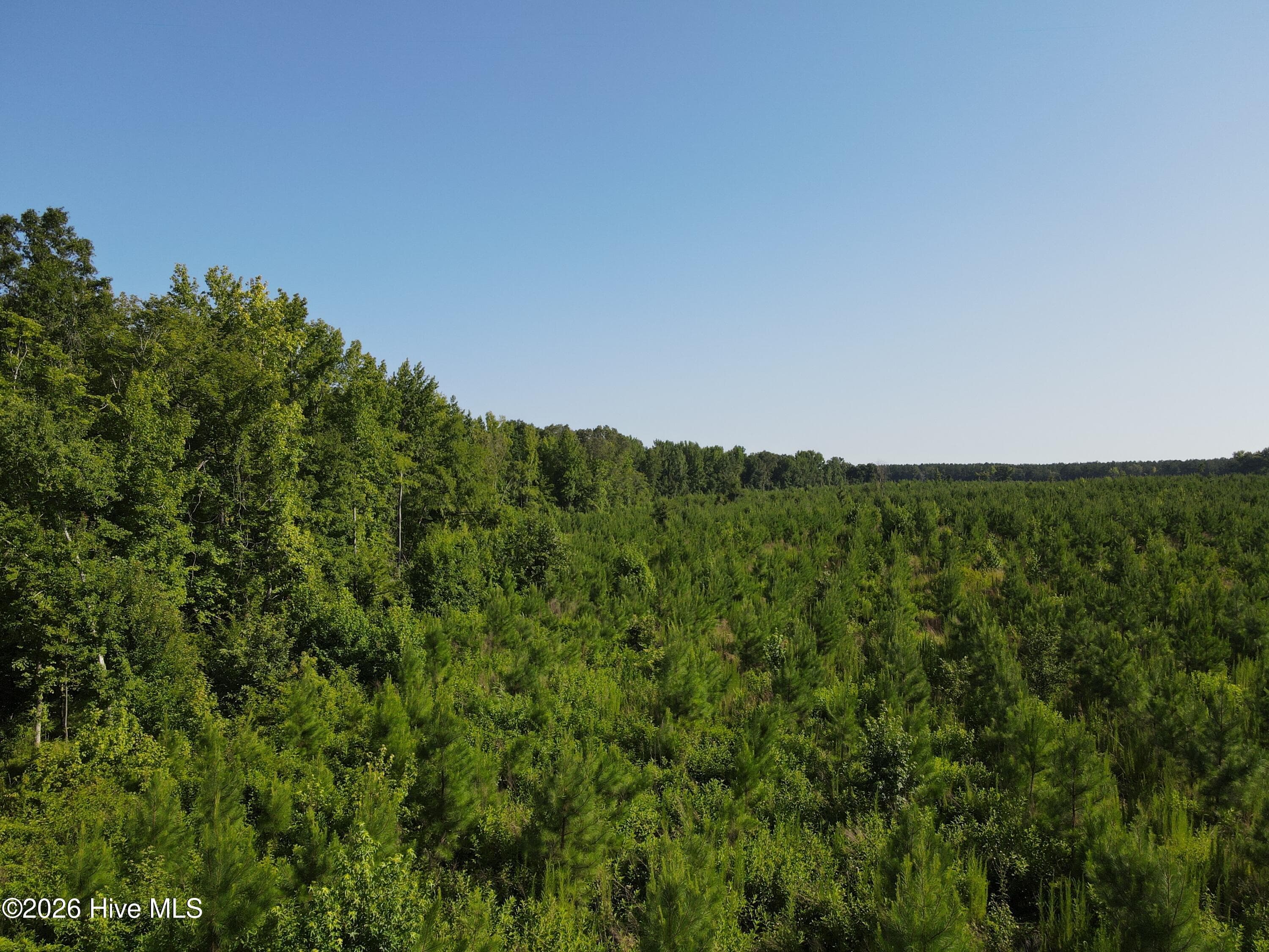 Wooded at 1 Youngblood Road, Sparta, GA 31087, photo 5 of 7