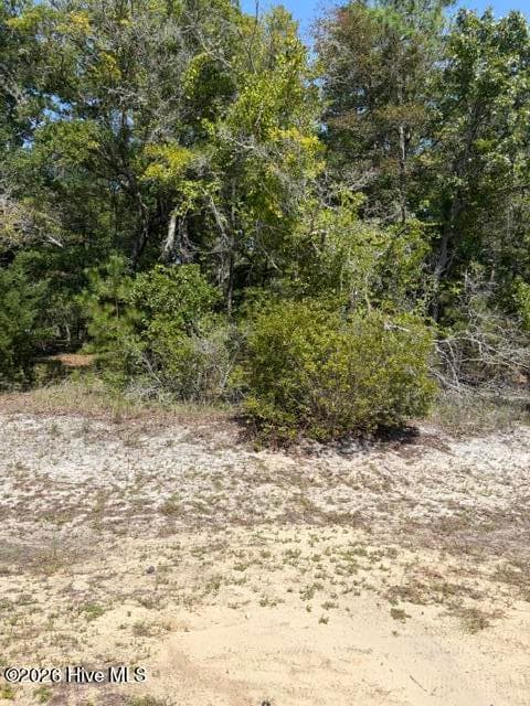 Residential Lot at 3374 469 Sandridge Lane SW, Supply, NC 28462, photo 8 of 16