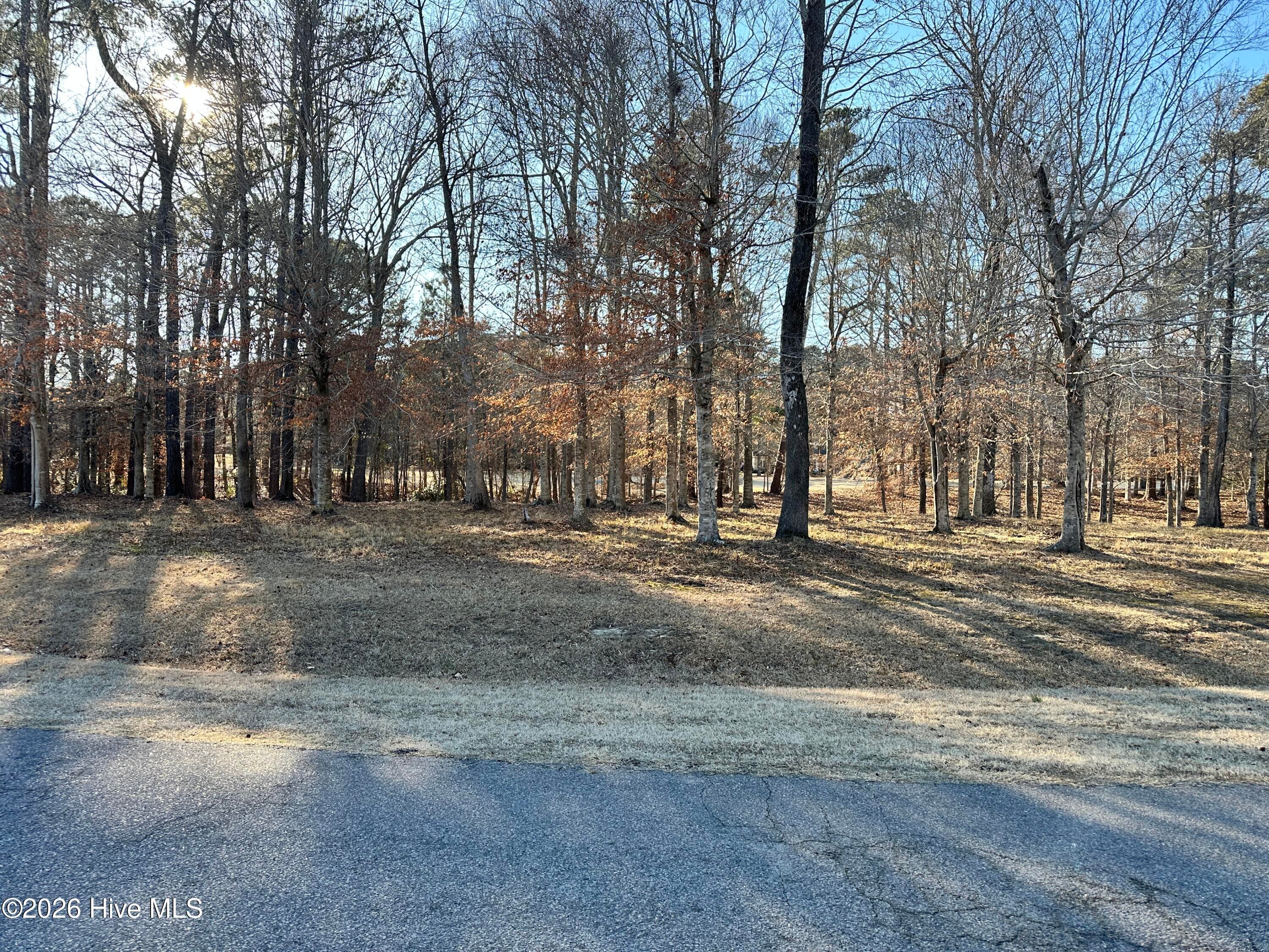 Residential Lot at 173 S-13 Roanoke Drive, Hertford, NC 27944, photo 2 of 4