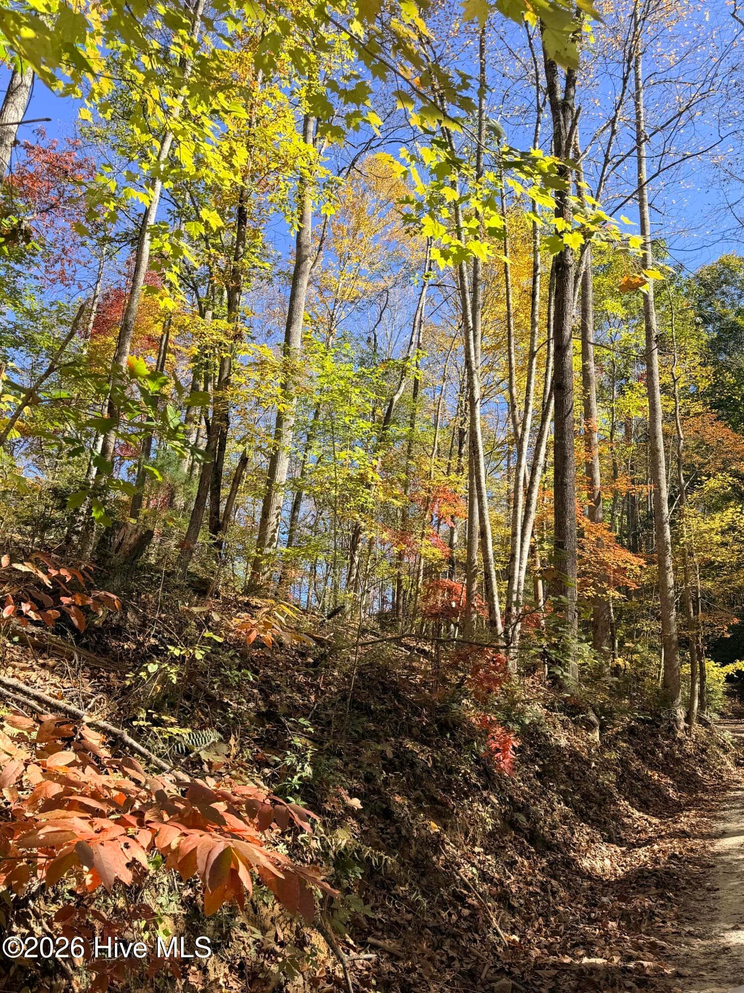Residential Lot at Lot# 6 Rhododendron Drive Drive, Topton, NC 28781, photo 2 of 4