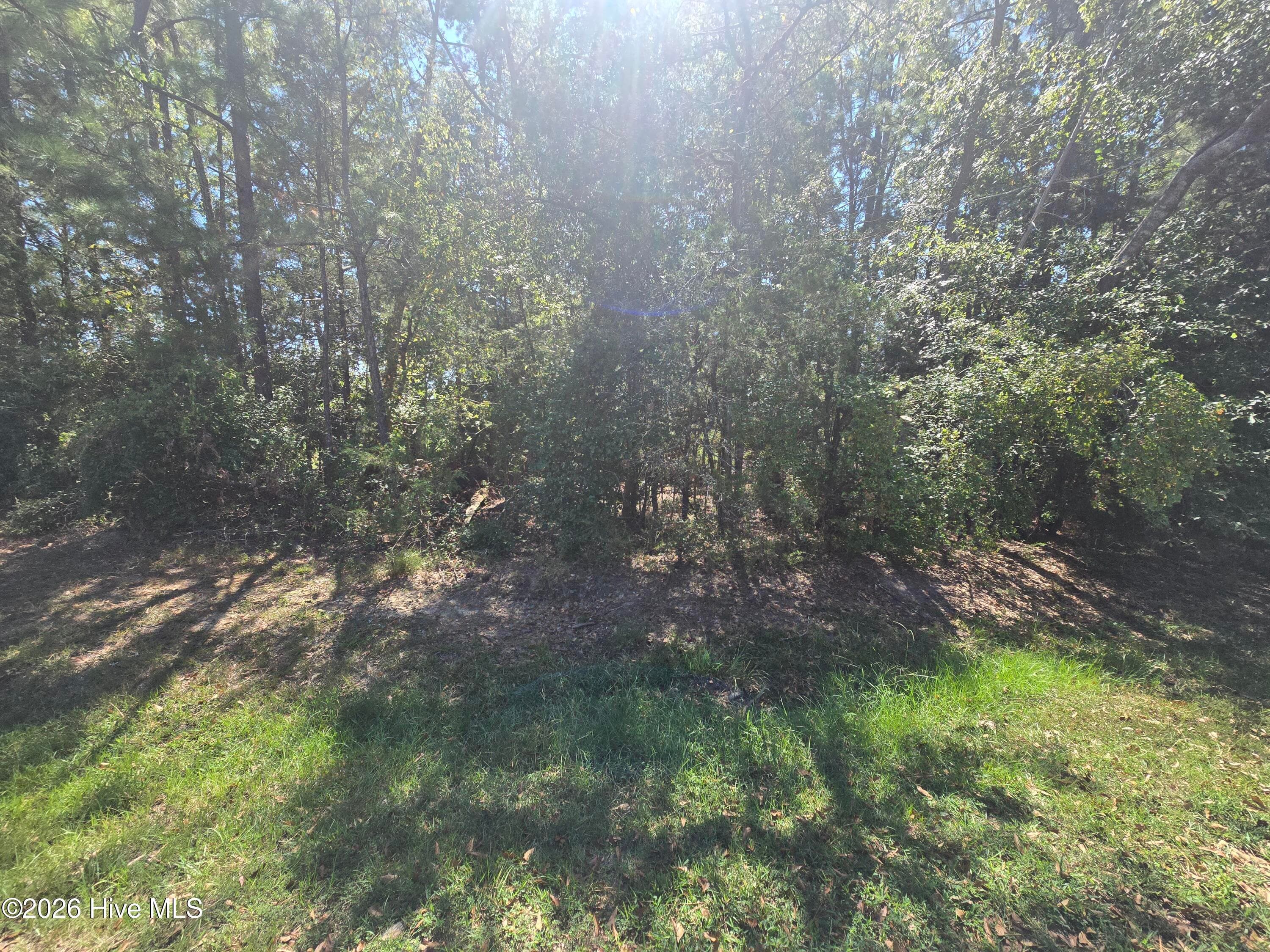 Residential Lot at Lot 9 9 Player Lane, McCormick, SC 29835, photo 9 of 11
