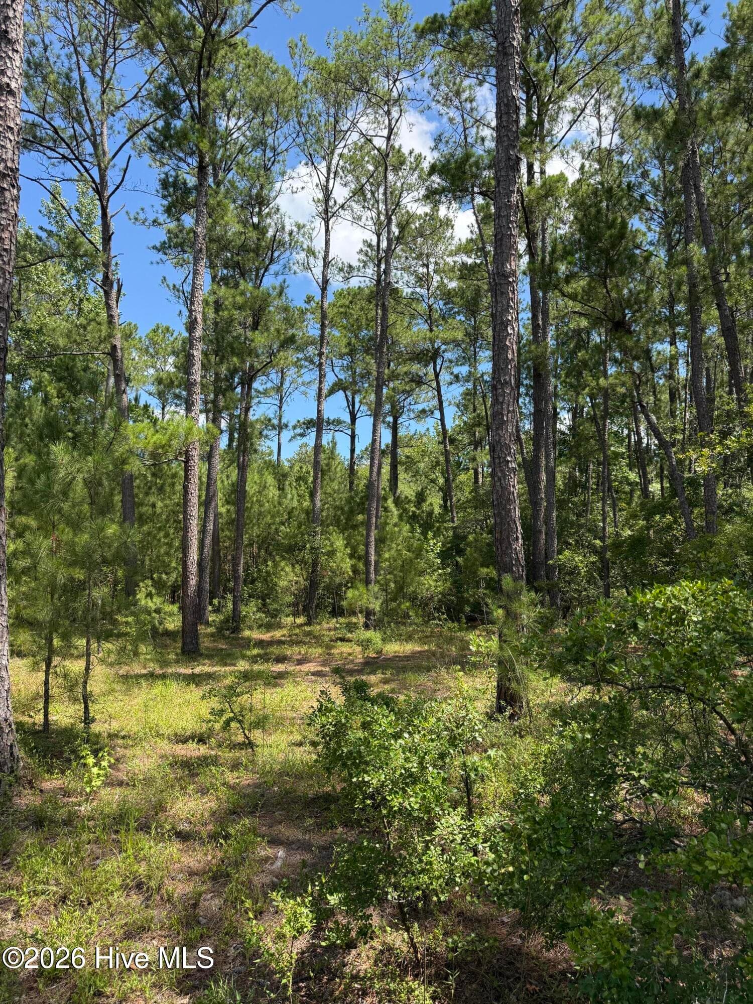 Residential Lot at 532 Old Hoover Bridge Road, Elizabethtown, NC 28337, photo 4 of 9