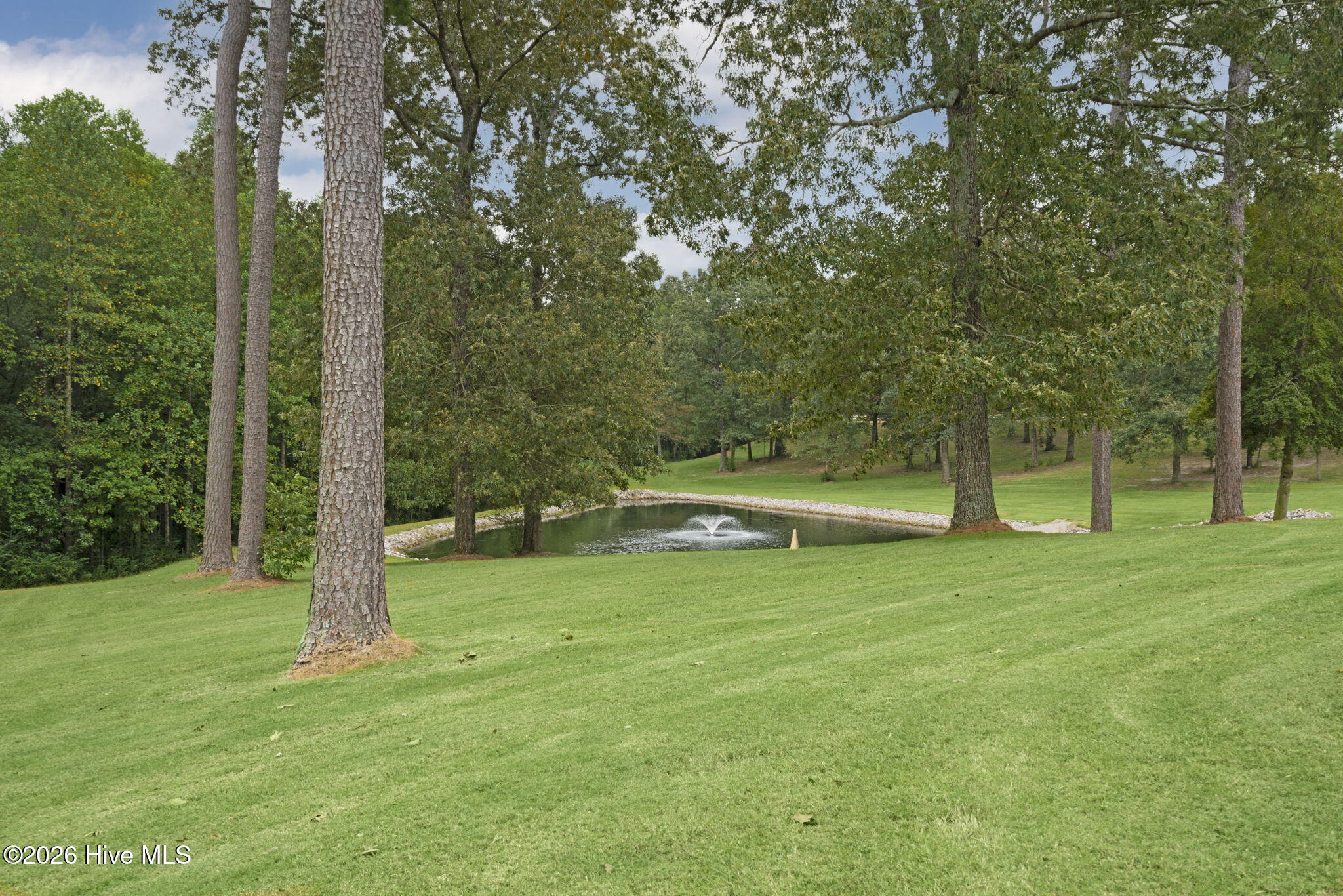 Single Family Residence at 509 Cross Country Lane, Southern Pines, NC 28387, photo 74 of 143