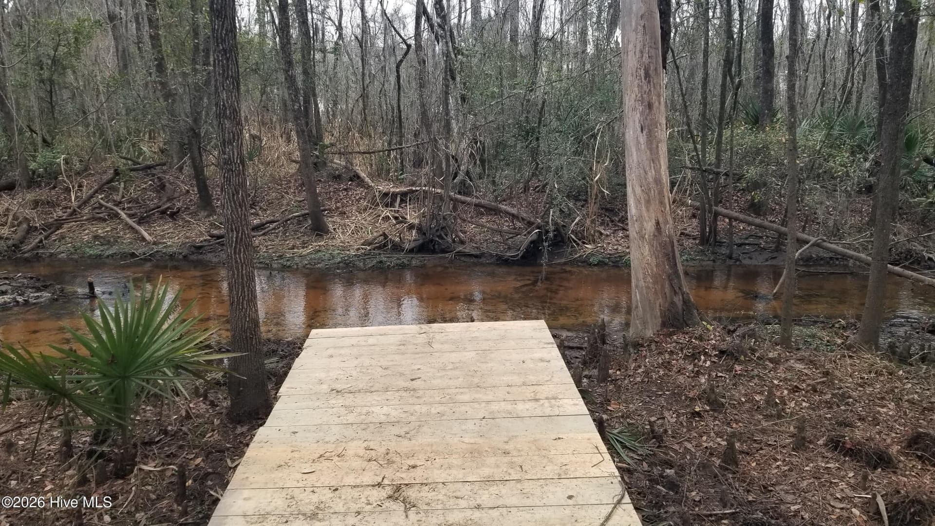 Undeveloped at 3120 Highmarket Street, Georgetown, SC 29440, photo 6 of 7