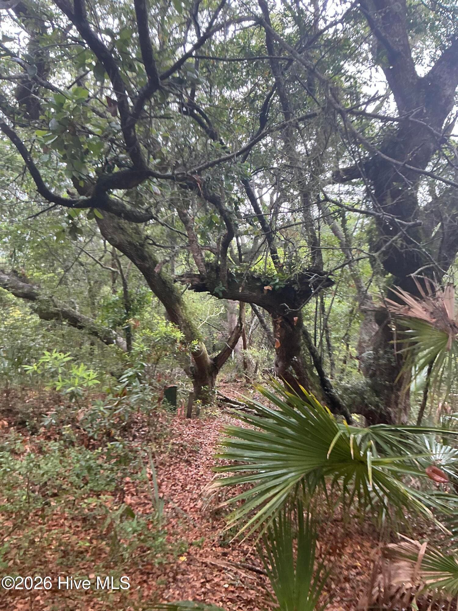 Residential Lot at 8 18 Leopard Frog Court, Bald Head Island, NC 28461, photo 6 of 8