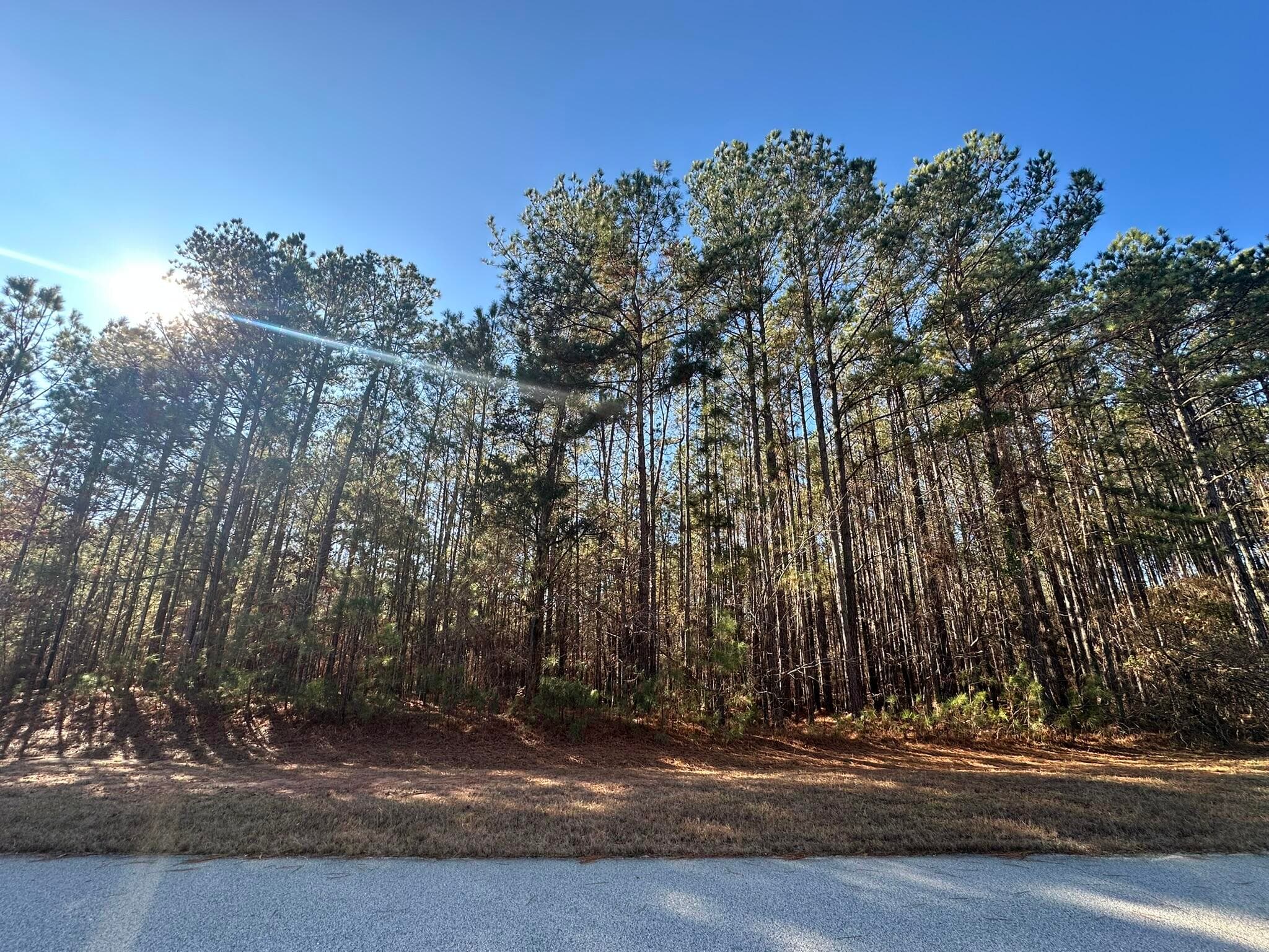 1252 294 Rogers Road, Tignall, GA 30668
