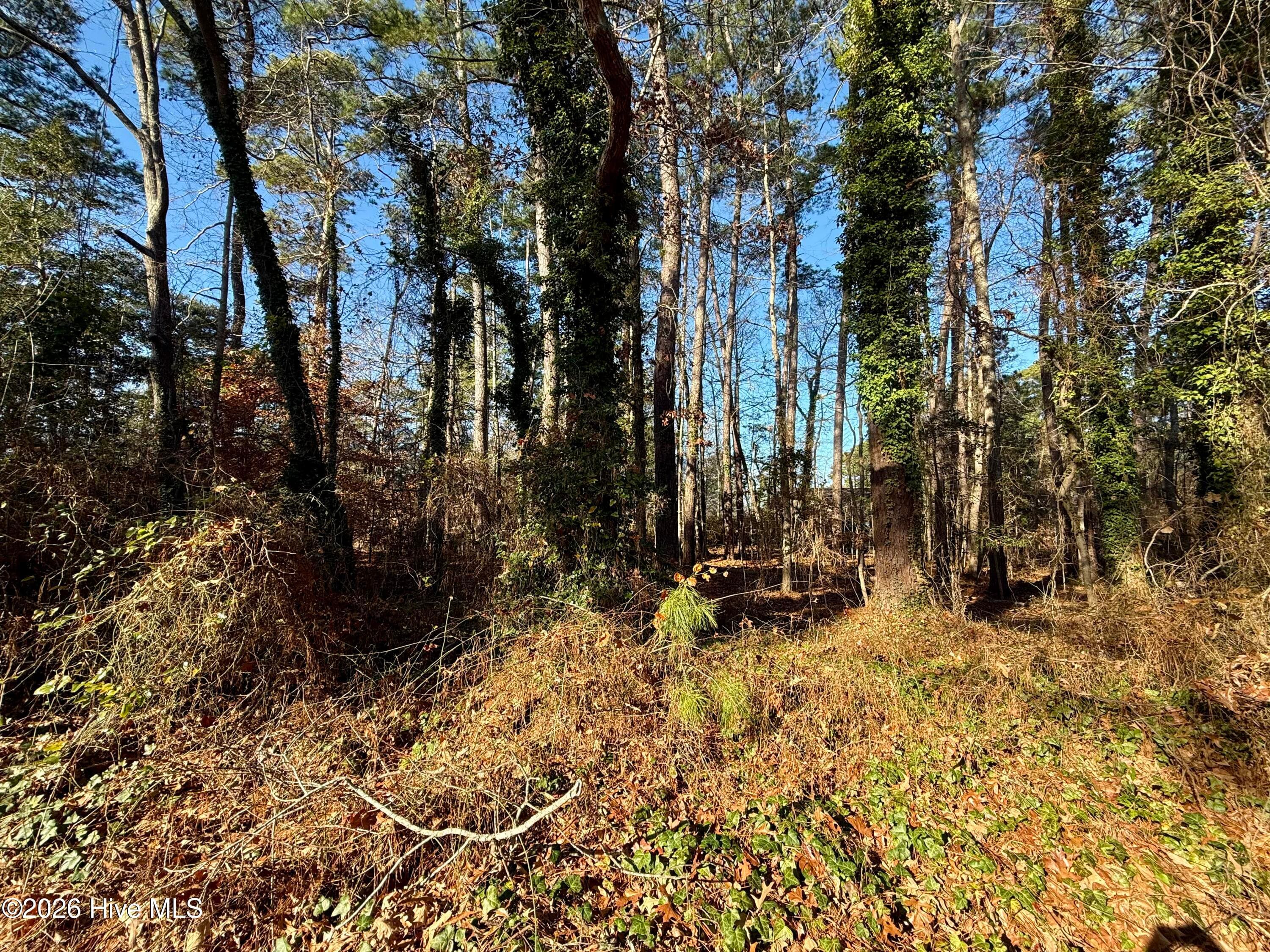 Wooded at 0 Alexander Lane, Williamston, NC 27892, photo 10 of 11