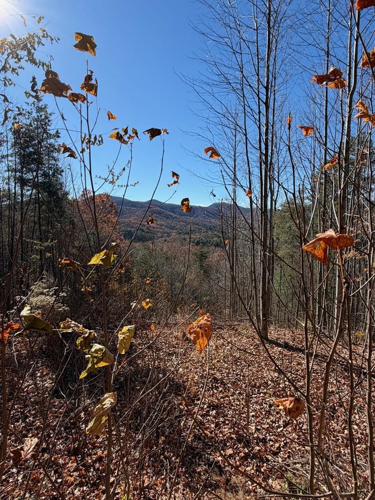 Residential Lot at Lot 13 13 View Ridge Trail, Murphy, NC 28906, photo 7 of 11