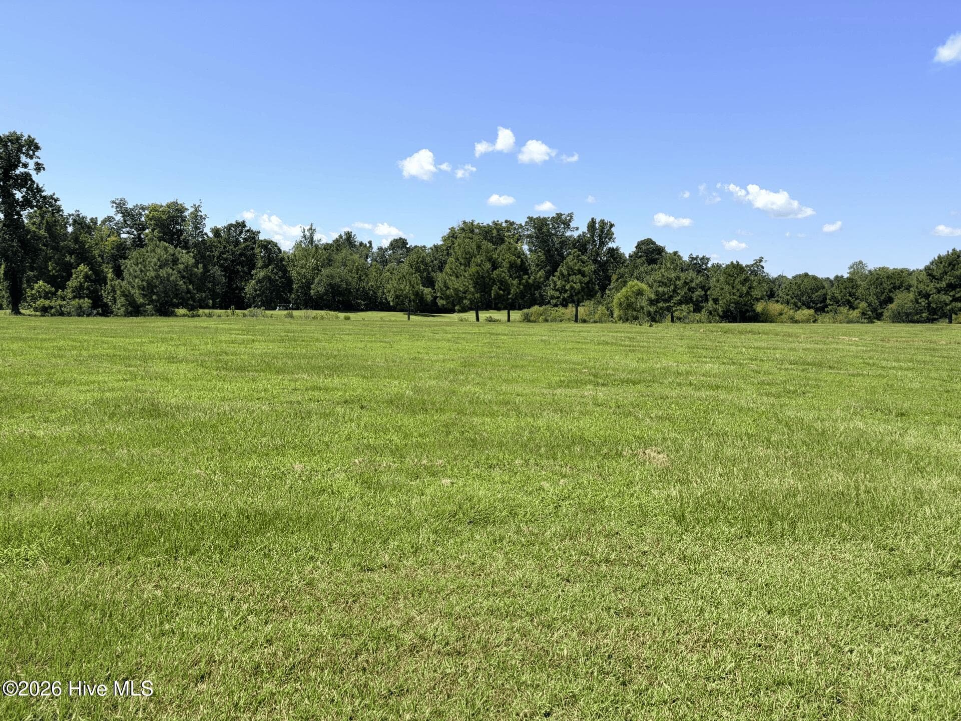 Residential Lot at 135-137 344 W Royal Way, Merry Hill, NC 27957, photo 2 of 7