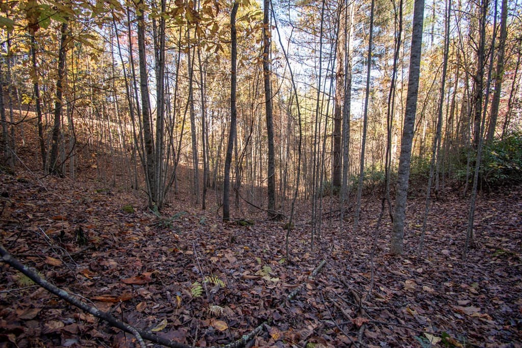 Wooded at Lt 66 66 Choctaw Ridge Trail, Murphy, NC 28906, photo 5 of 10