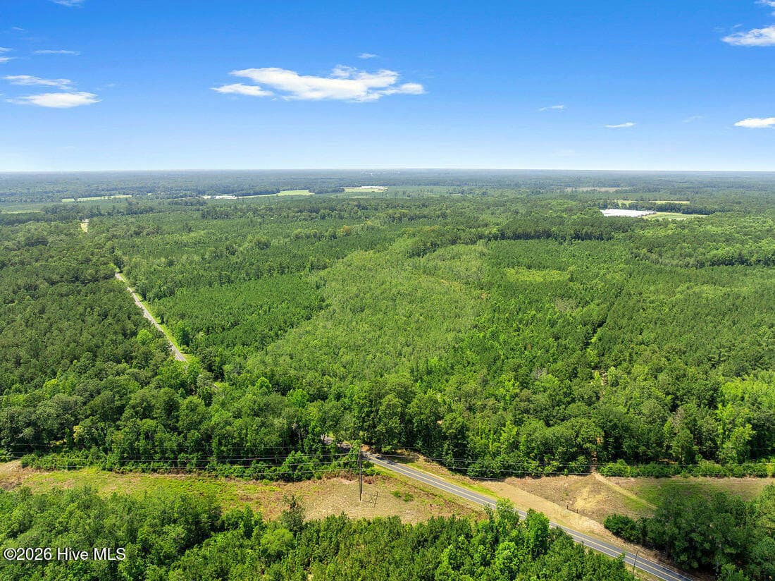 Na Burney Road, White Oak, NC 28399