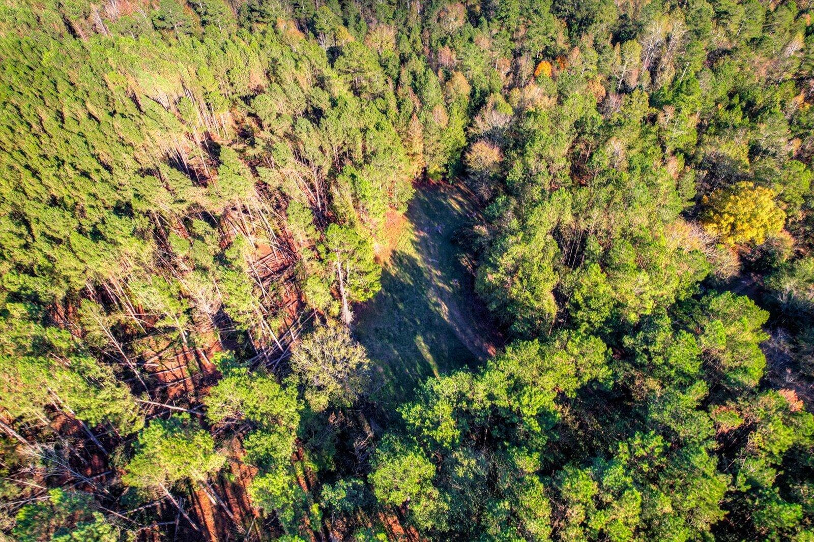 Undeveloped at Tbd2 Sc-23, Edgefield, SC 29824, photo 22 of 41