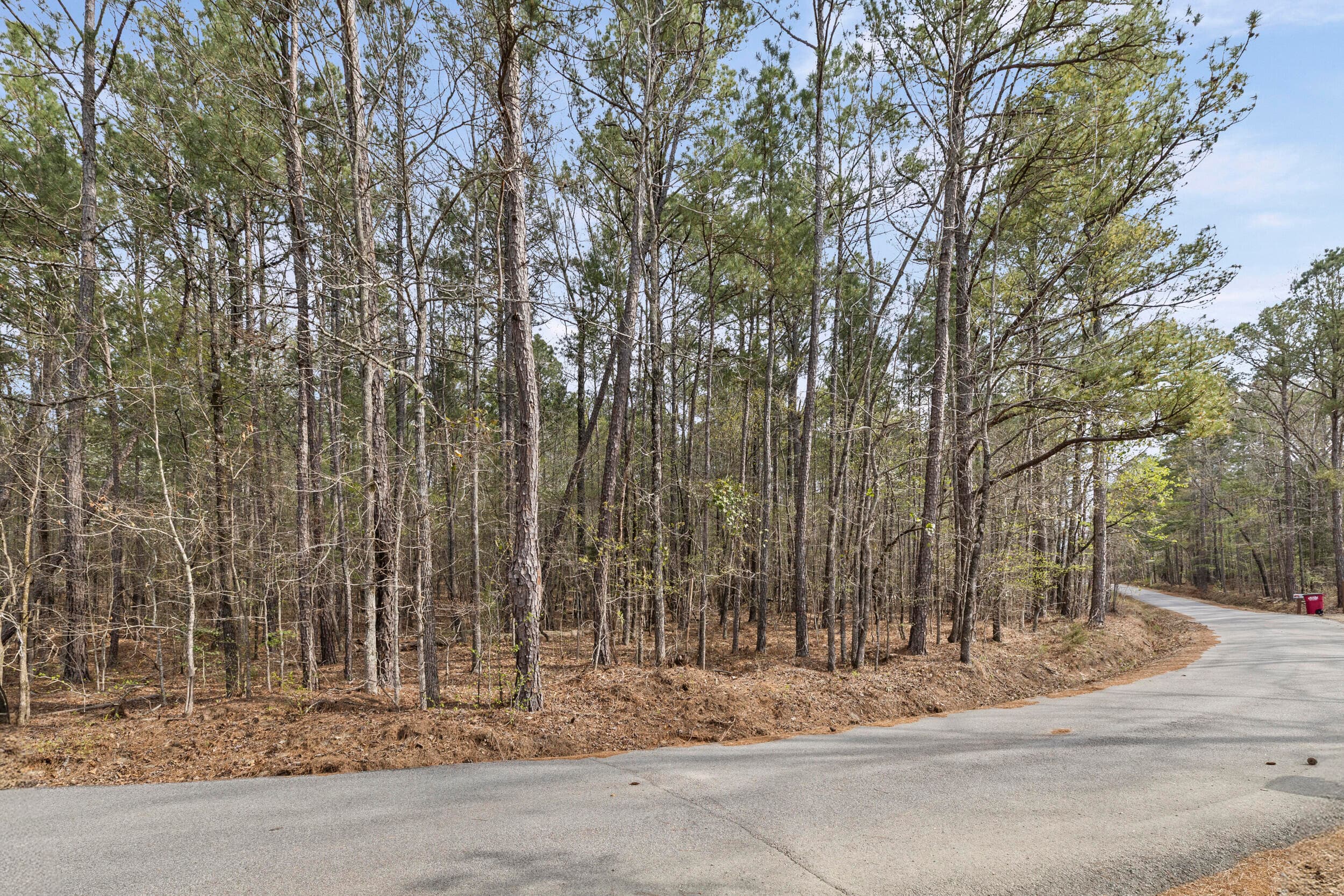 Residential Lot at 0 Lbk Circle, Tignall, GA 30668, photo 3 of 22