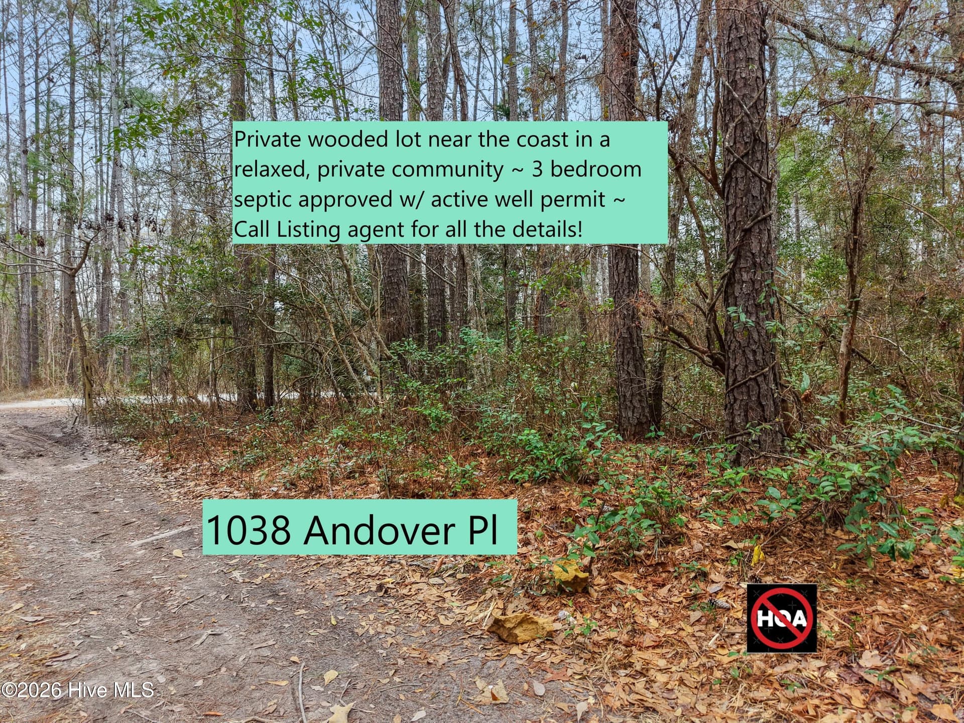 Mobile Home Lot at 1038 Andover Place SE, Bolivia, NC 28422, photo 2 of 17