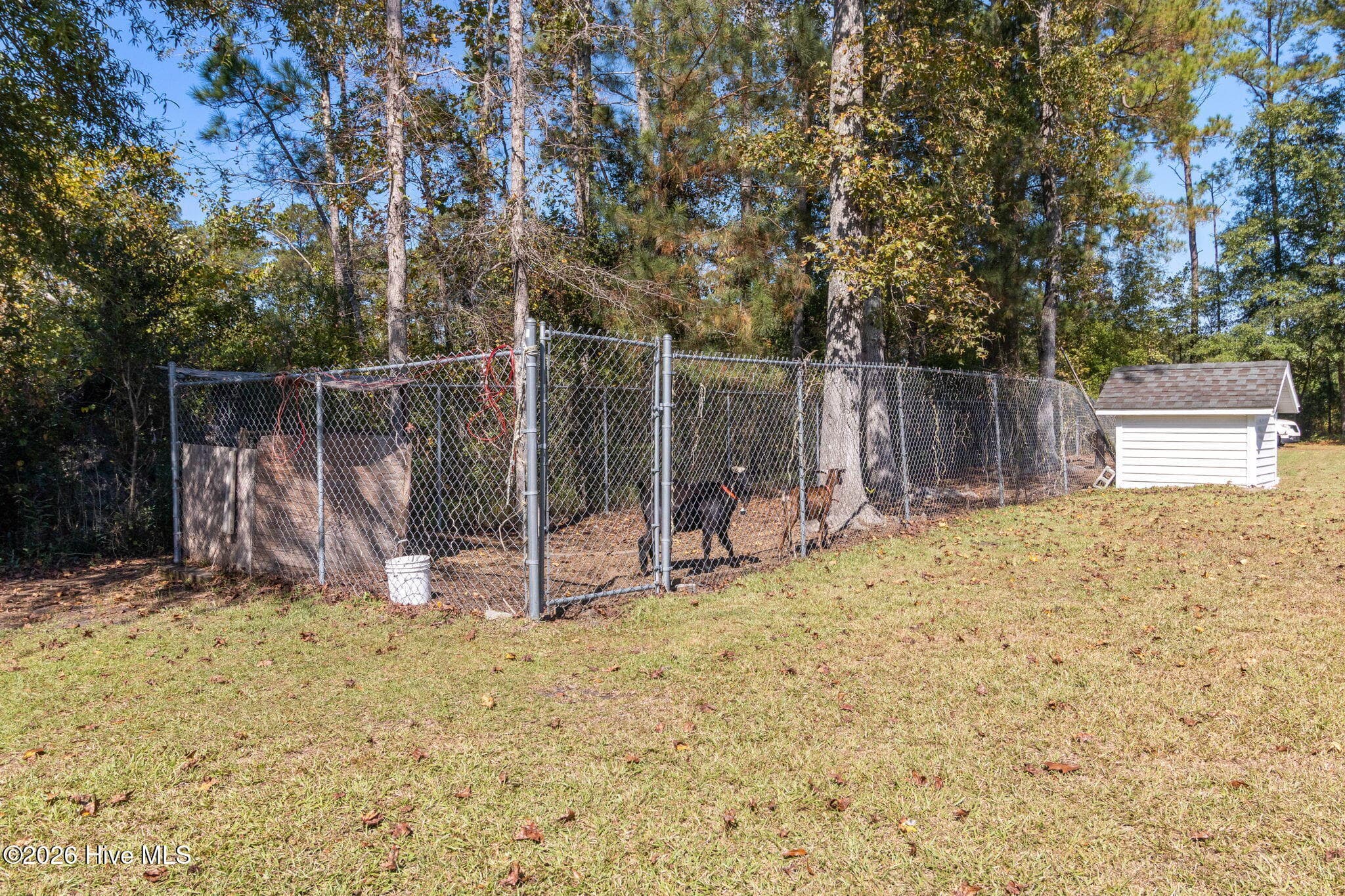 Single Family Residence at 549 Sassafras Road, Bladenboro, NC 28320, photo 46 of 56