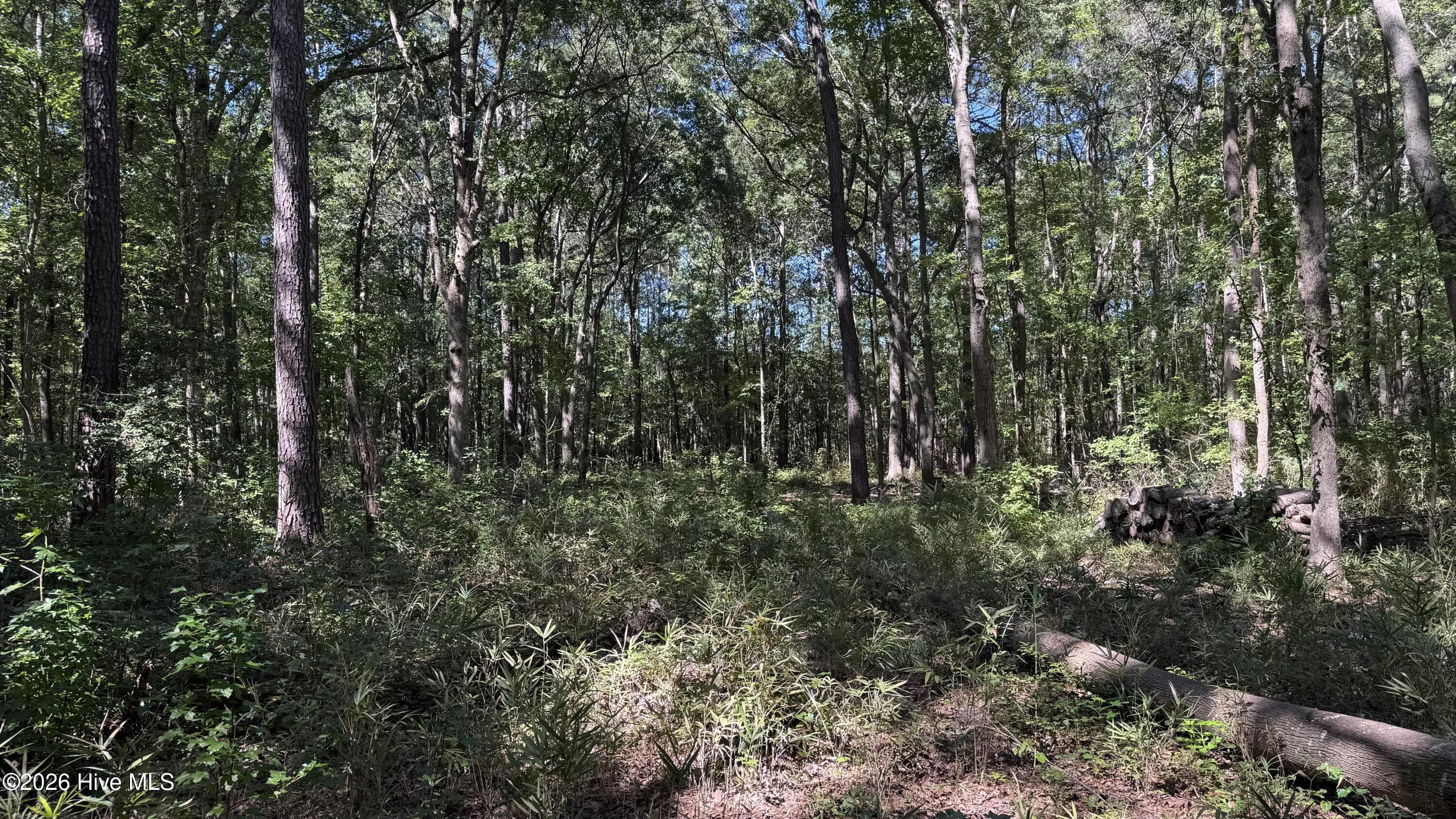 Undeveloped at 6033 Homestead Road, Elm City, NC 27822, photo 2 of 2