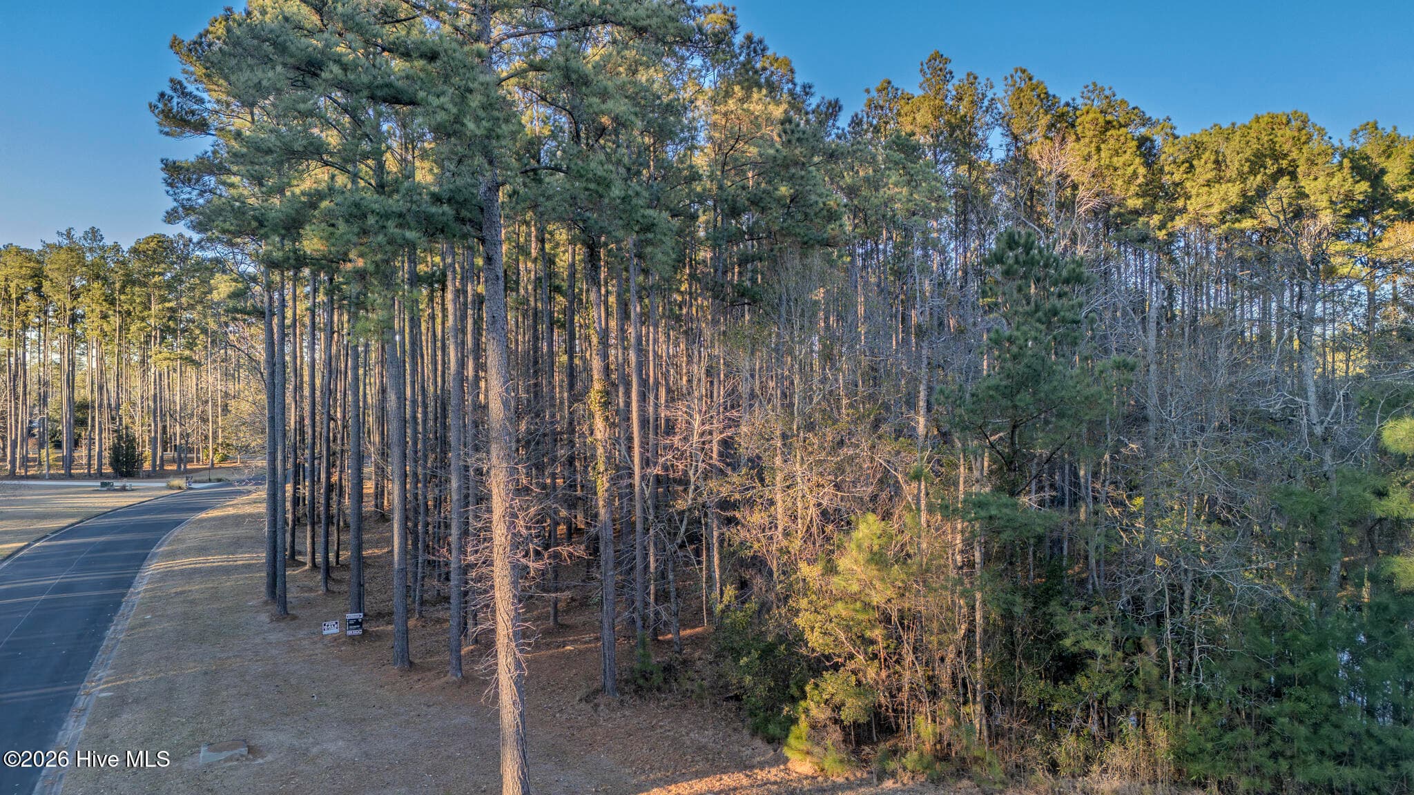 Wooded at 88 22 Cape Hatteras Point, Oriental, NC 28571, photo 3 of 9