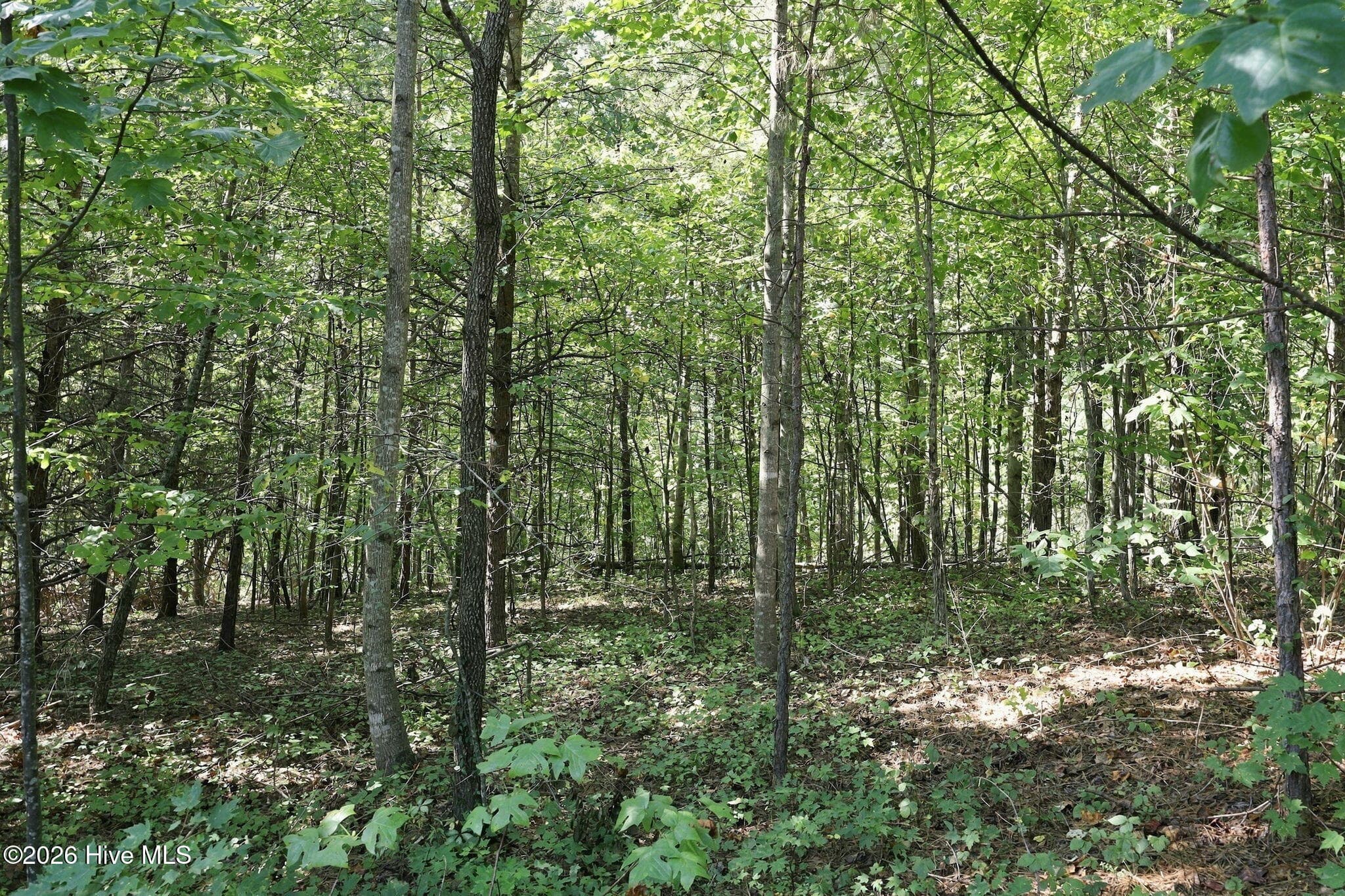 Residential Lot at 0 Nathan Mcdaniel Drive, Nebo, NC 28761, photo 22 of 30