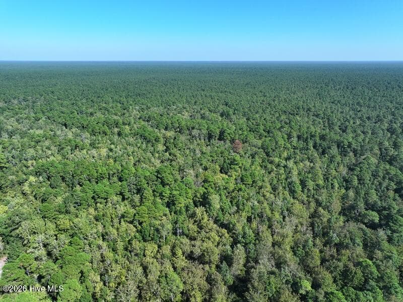0 Angola Bay Road, Wallace, NC 28466