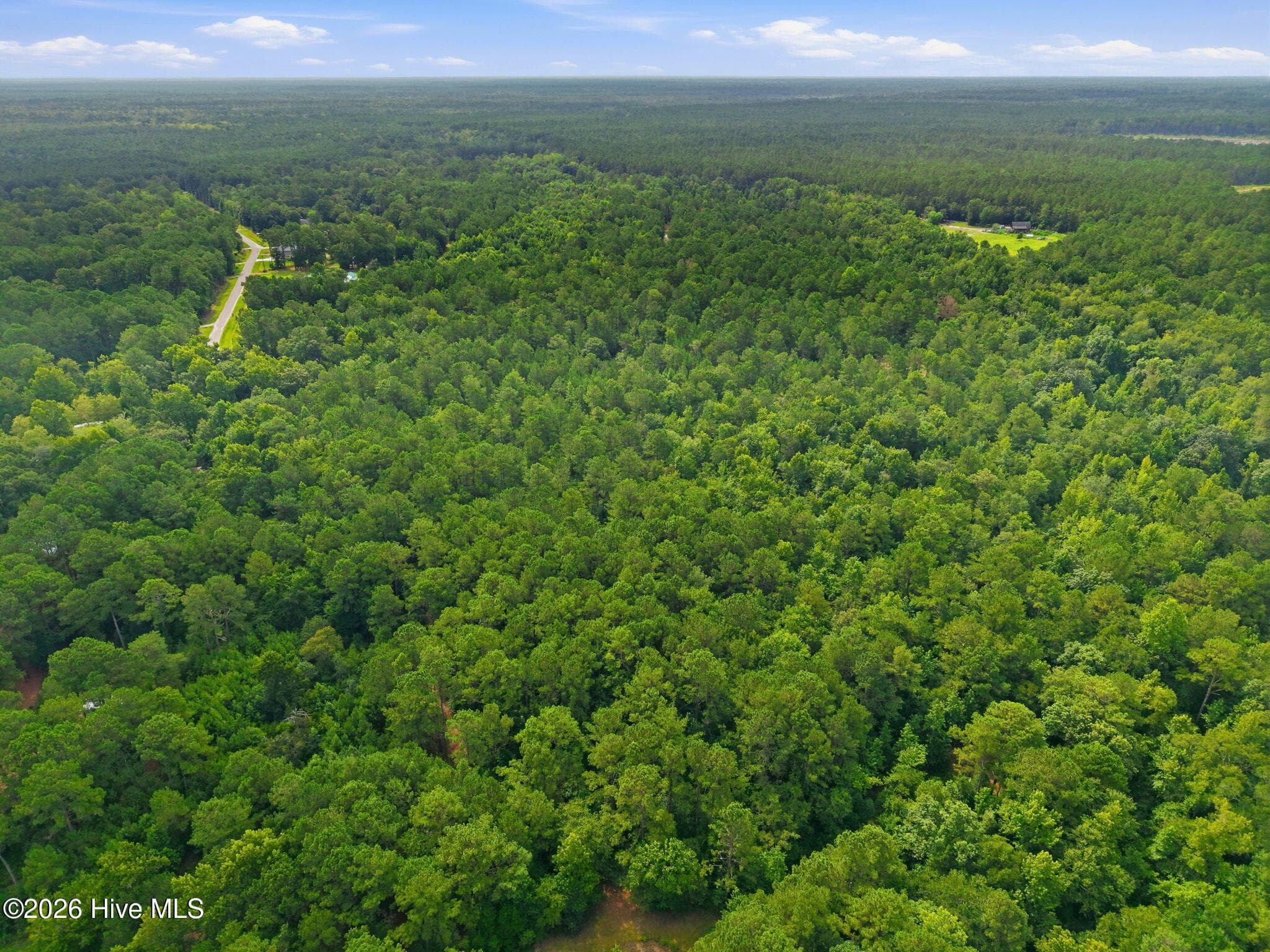 Undeveloped at 0 Copperhead Lane, Burgaw, NC 28425, photo 18 of 24