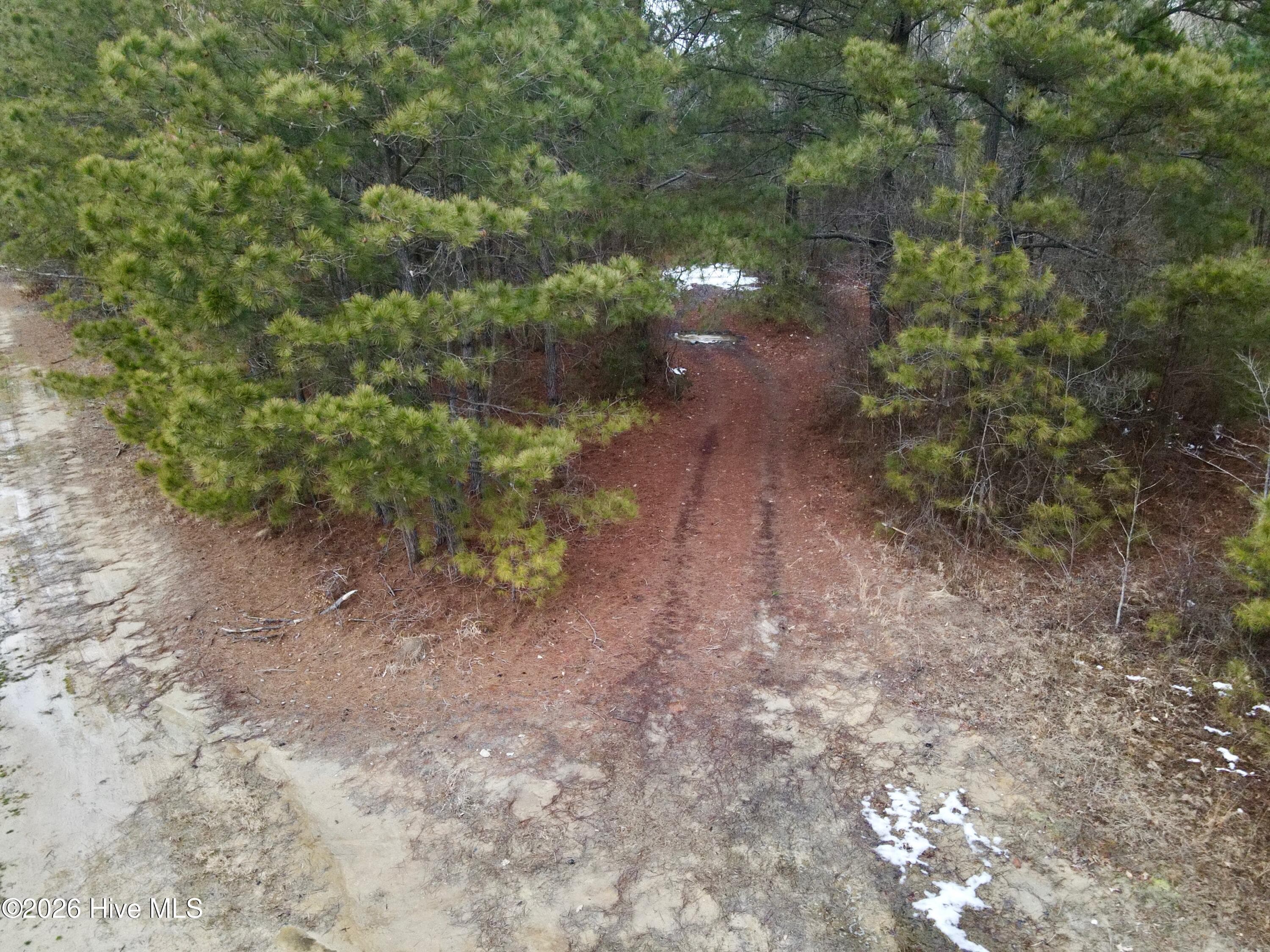 Undeveloped at 1528 S King Street, Windsor, NC 27983, photo 6 of 10