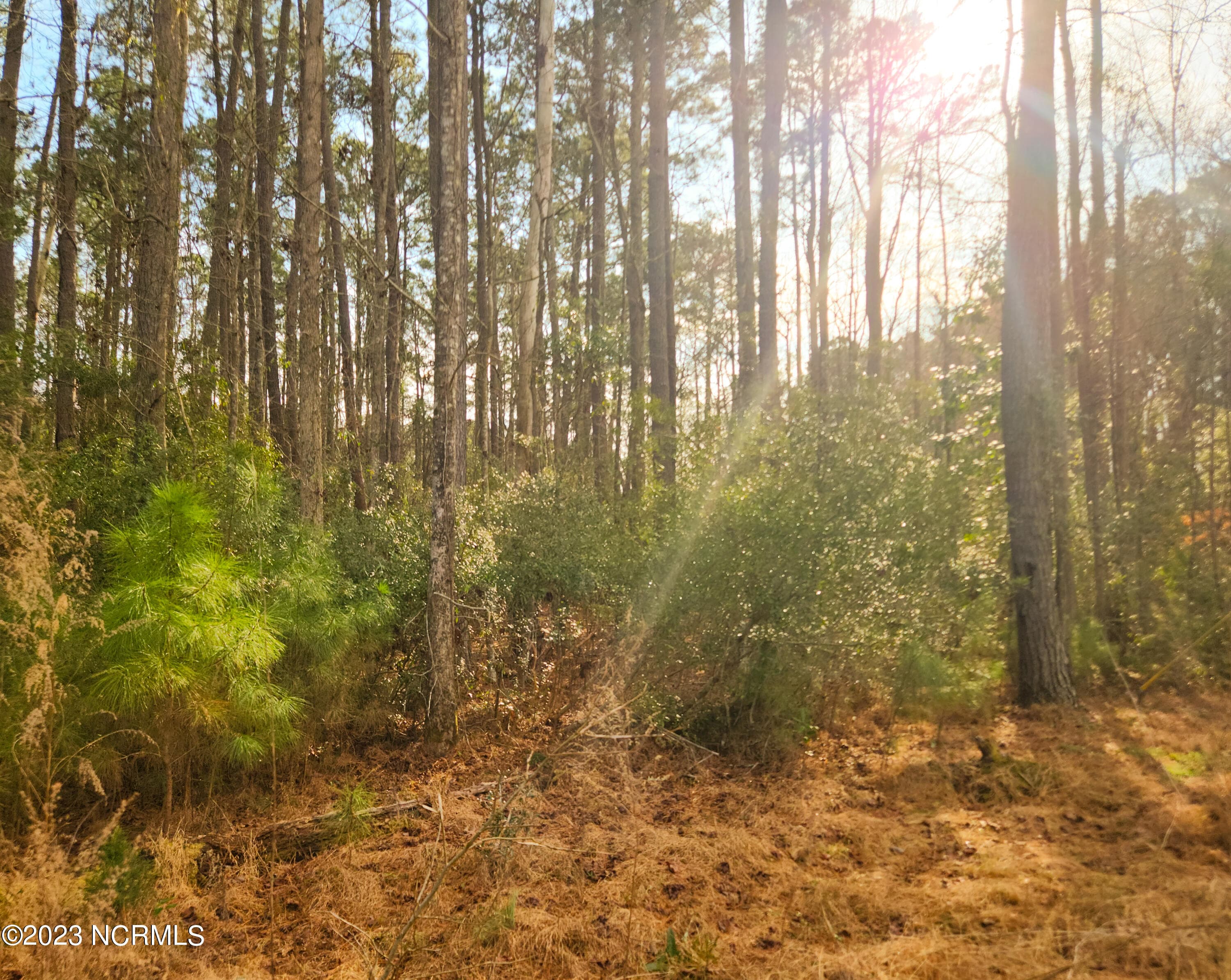 Wooded at 153 2 Oswell Brinson Road, Merritt, NC 28556, photo 2 of 4
