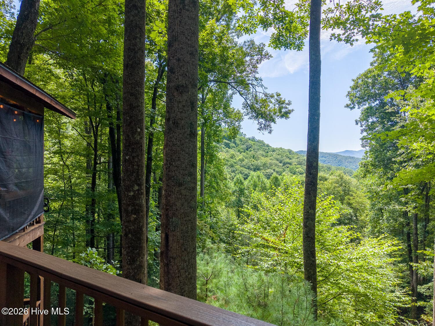 Single Family Residence at 204 Mountain Laurel Drive, Bryson City, NC 28713, Bryson City, photo 64 of 73