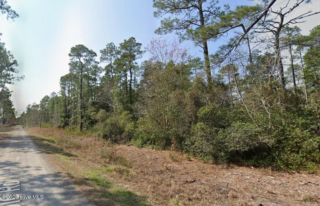 Residential Lot at 0 9 and 10 Maple Road, Boiling Spring Lakes, NC 28461, photo 2 of 3