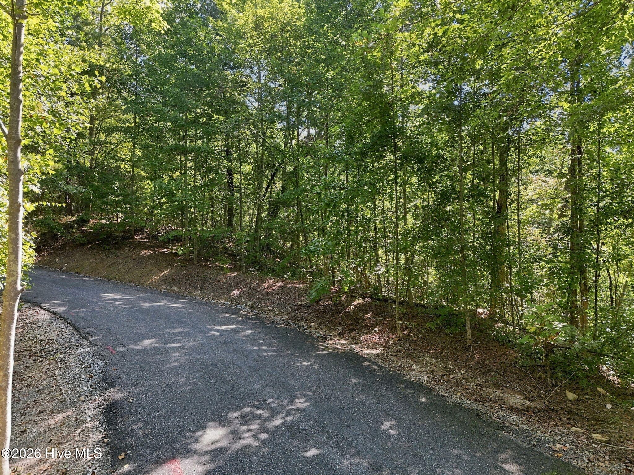 Residential Lot at 0 Nathan Mcdaniel Drive, Nebo, NC 28761, photo 2 of 30