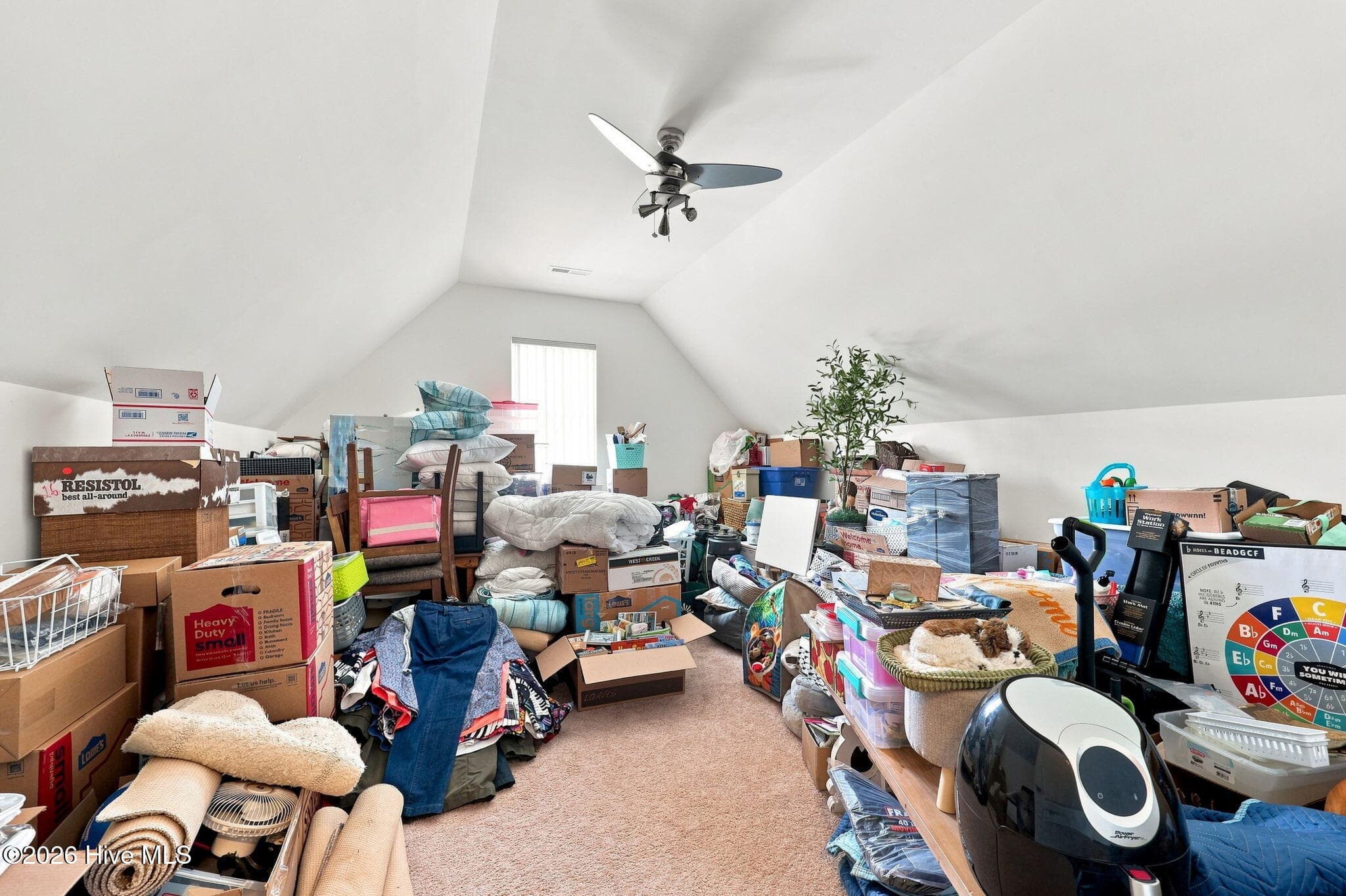 Bonus room - 504 Casting Net Way, Swansboro, NC 28584