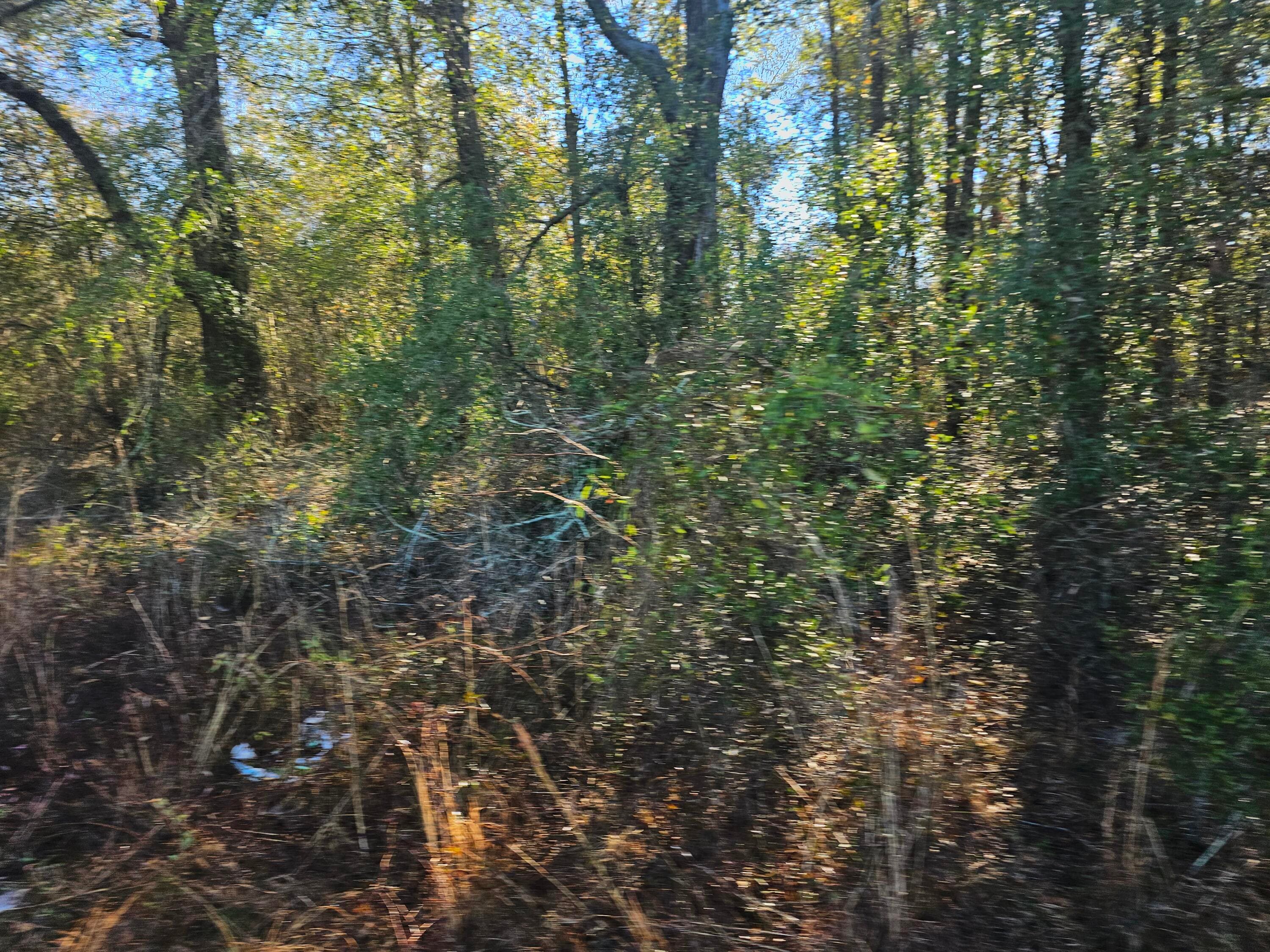 Residential Lot at 01 River Road, Waynesboro, GA 30830, photo 2 of 5