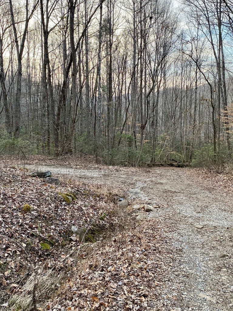 00 Carringer Road, Robbinsville, NC 28771