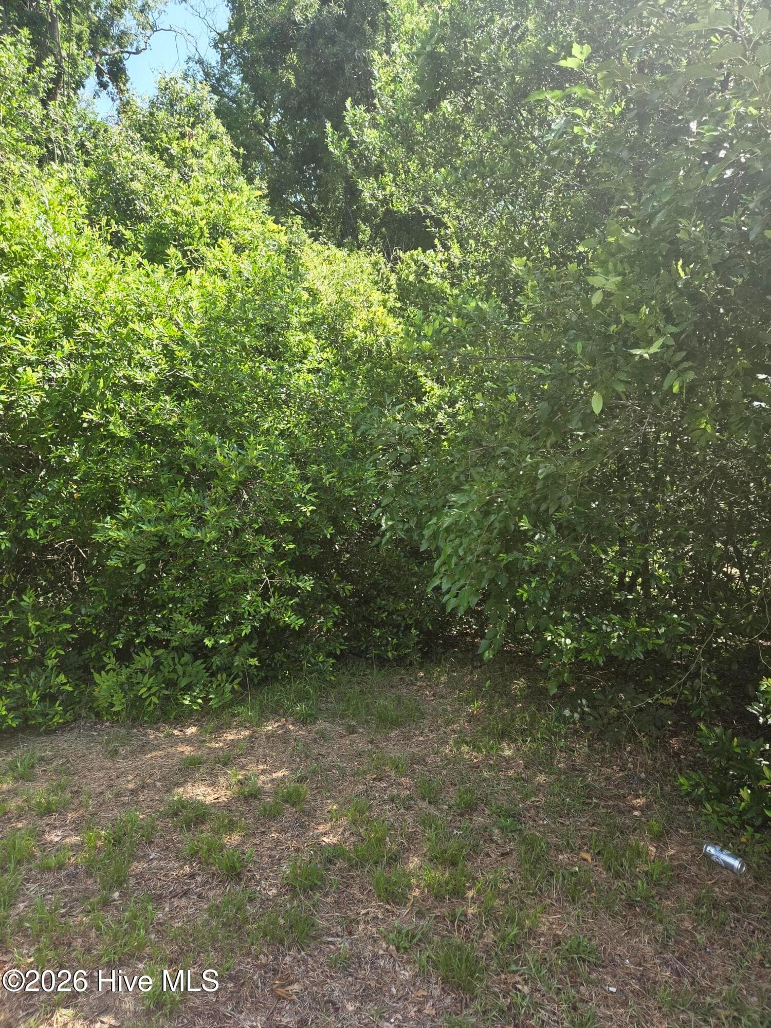 Residential Lot at Tbd N Skipper Street N, Rockingham, NC 28379, photo 7 of 8